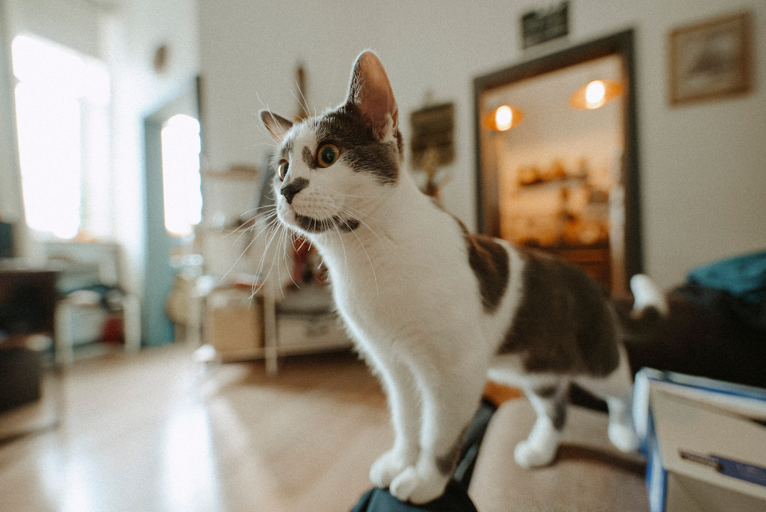 2025. Стрит-фотография, полная абсурда, идиотизма и красоты