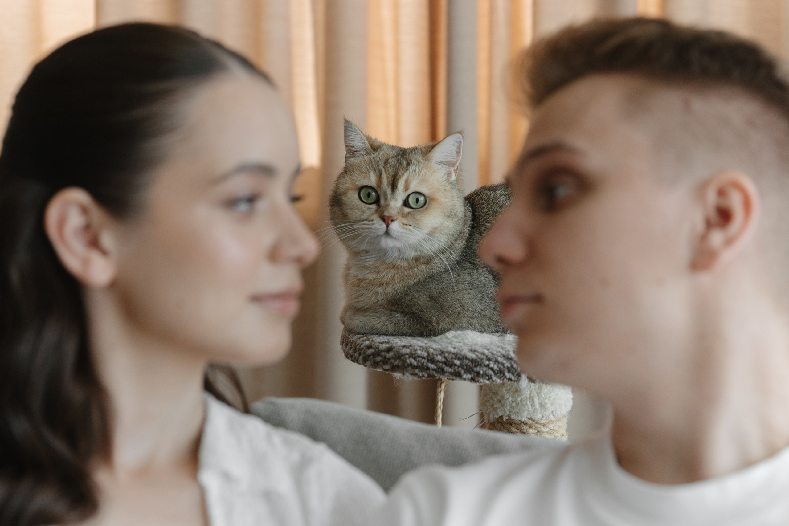 Иван и кристина