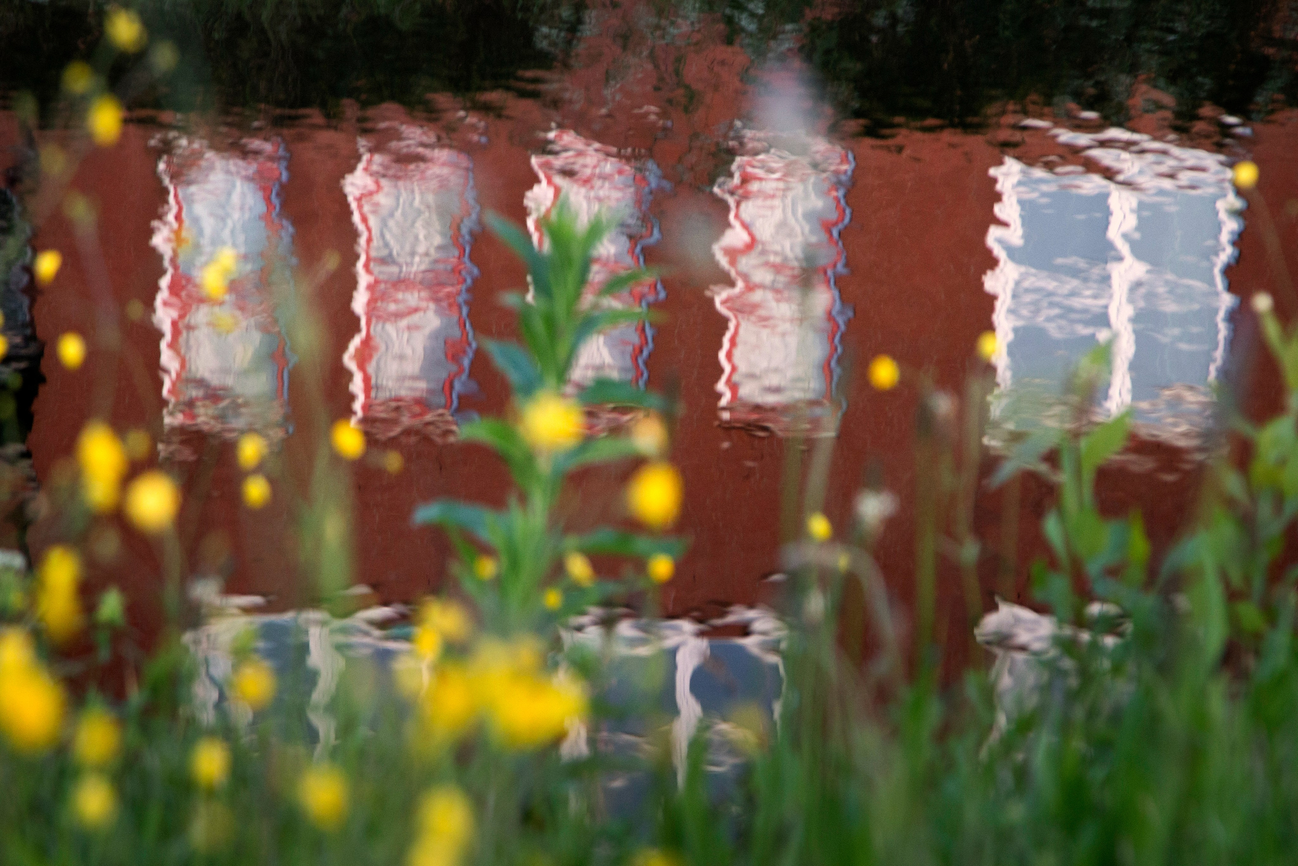 Фото. Фотограф Лагутин Анатолий