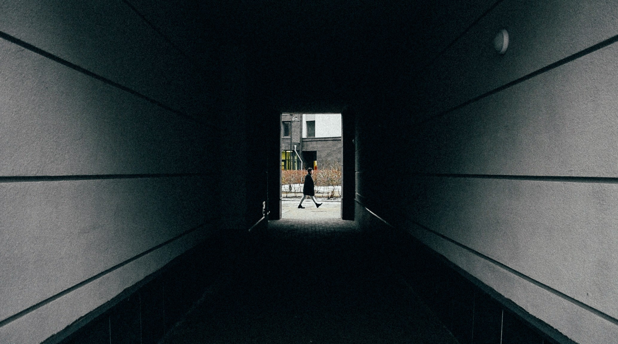 Плёнка. Morozography