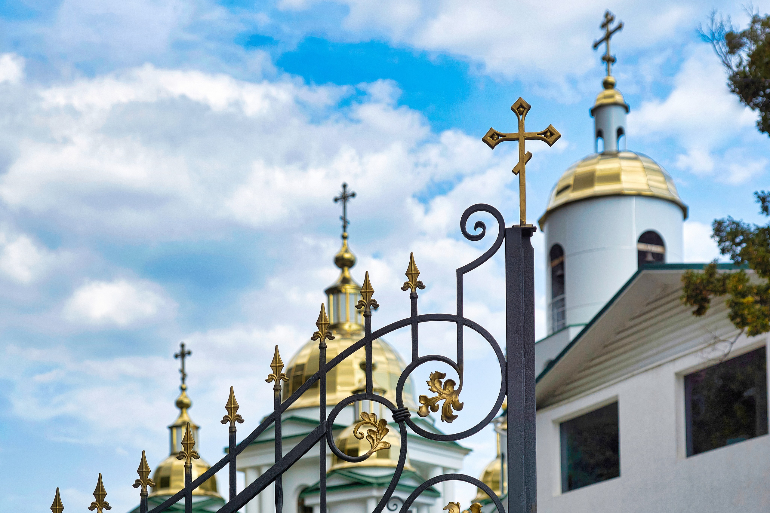 Ялта. Крым. Фотограф Владимир Артамонов