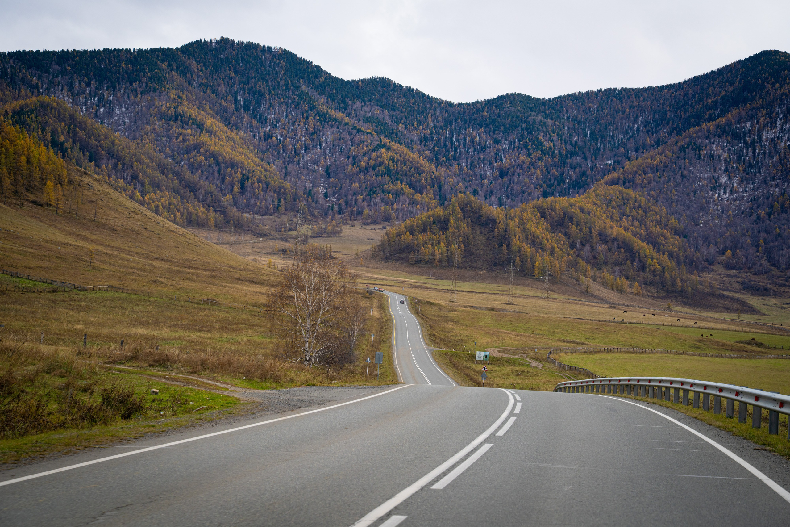 Чуйский тракт. Фотографии Тиграна Худавердяна