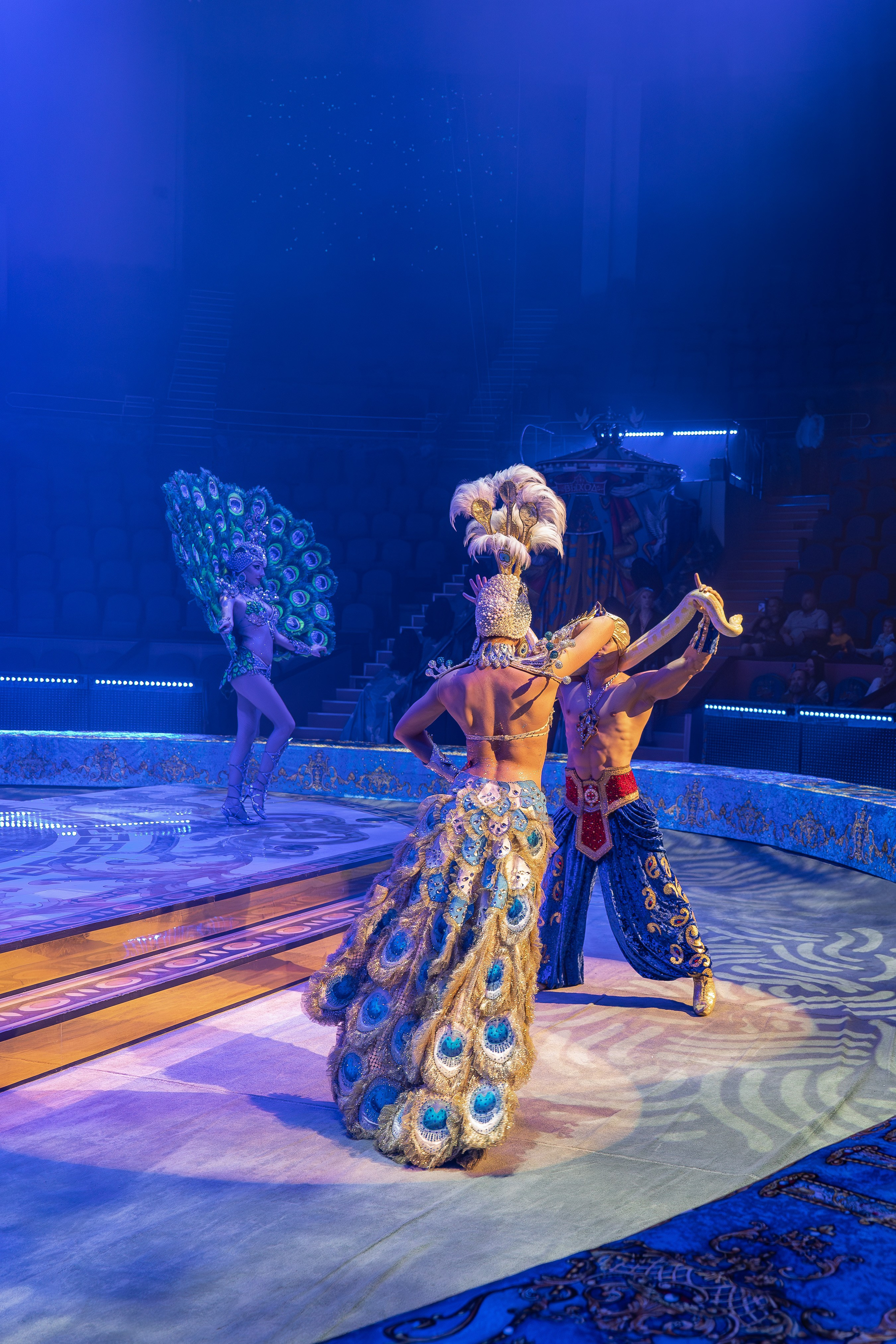 Цирк Гии Эрадзе. Наталья Слесаренко фотограф в Сочи