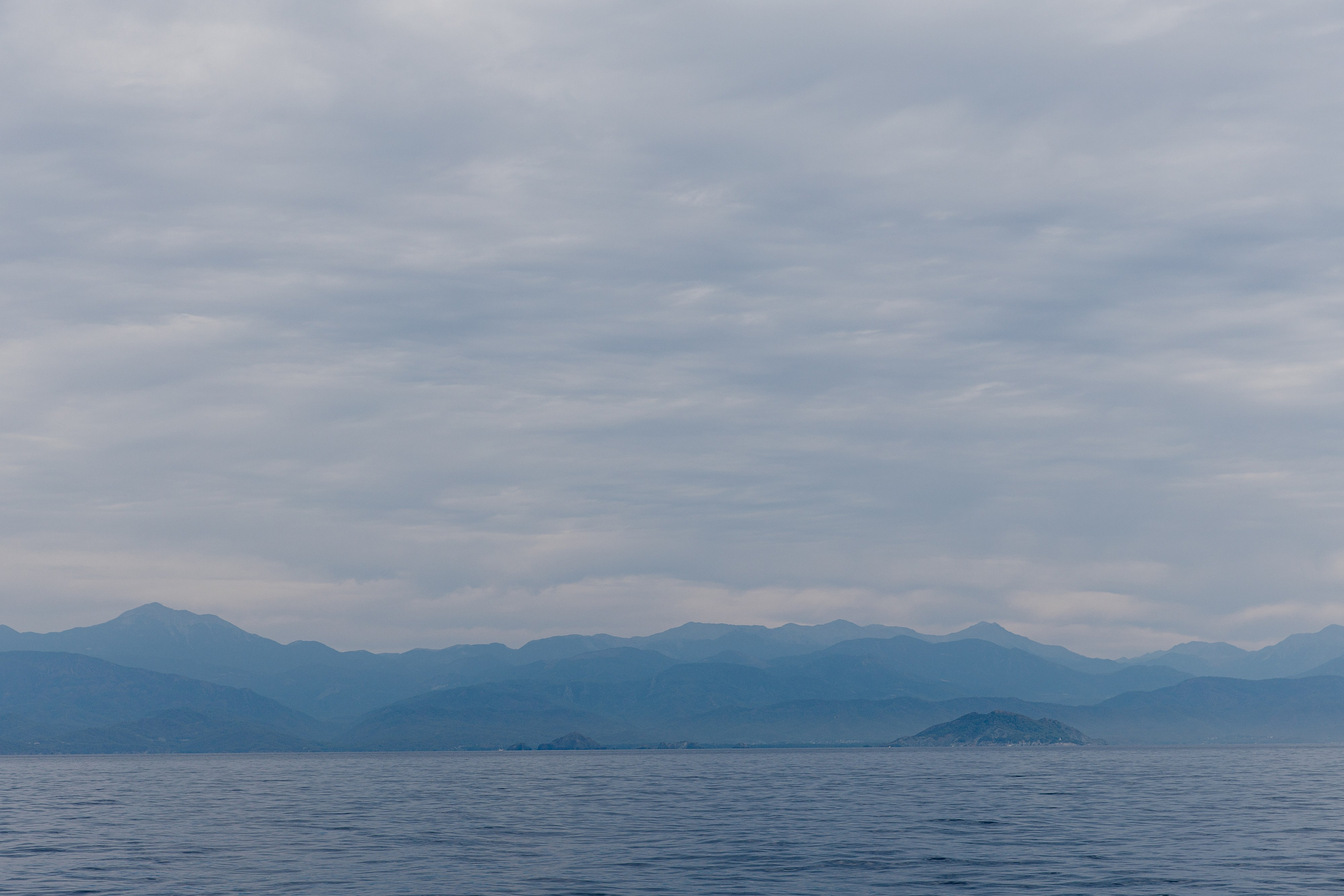 Фармрегата. Свадебный фотограф Москва Анна Шилова