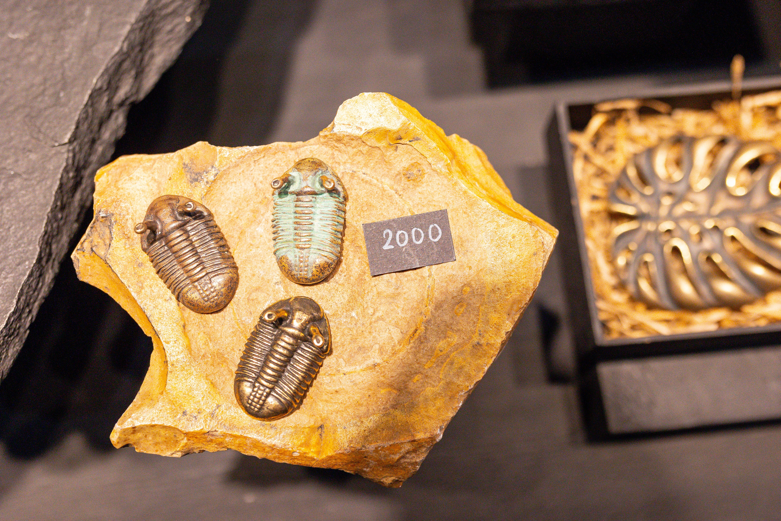 Монстериум 11–12 октября. Александра Куликова фотограф, Москва