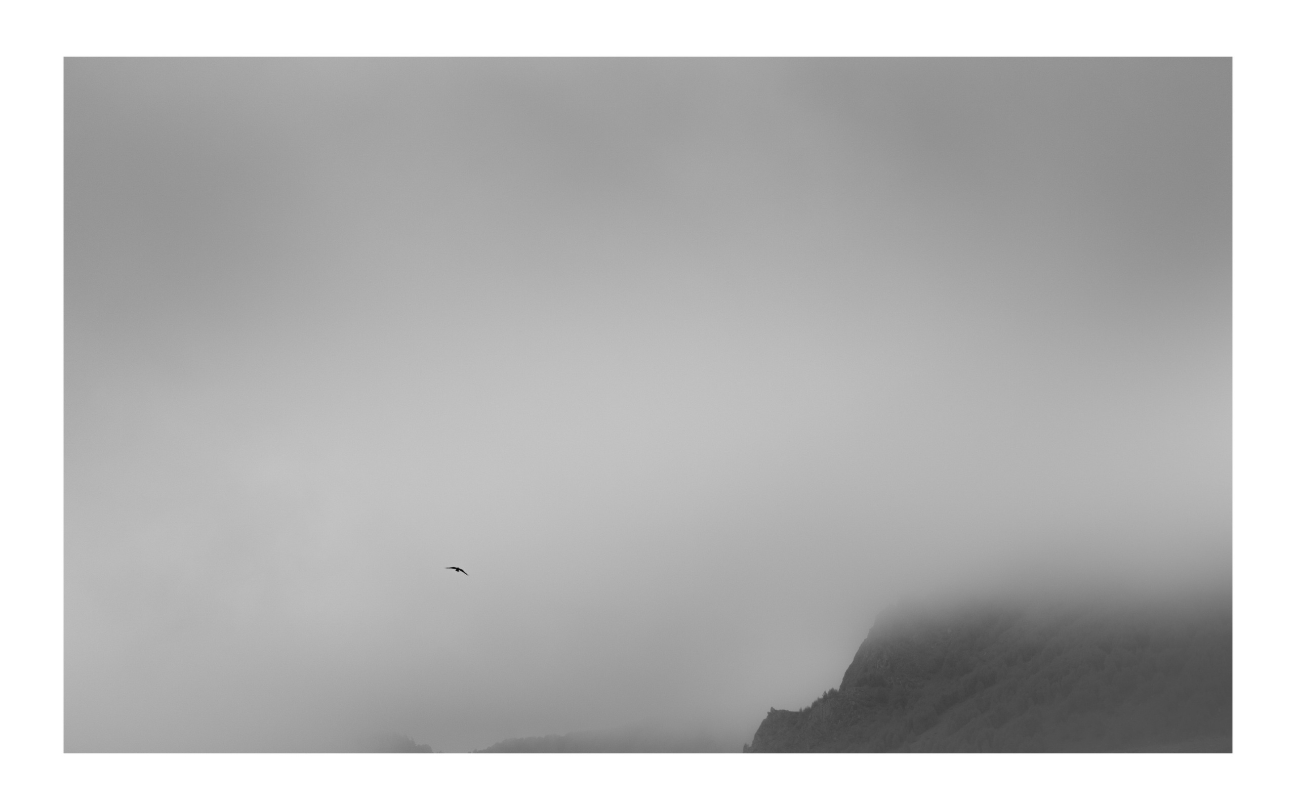 Фотографии из Грузии для интерьеров. Фотографии Руслана Сайдалиева (Рус Сай)