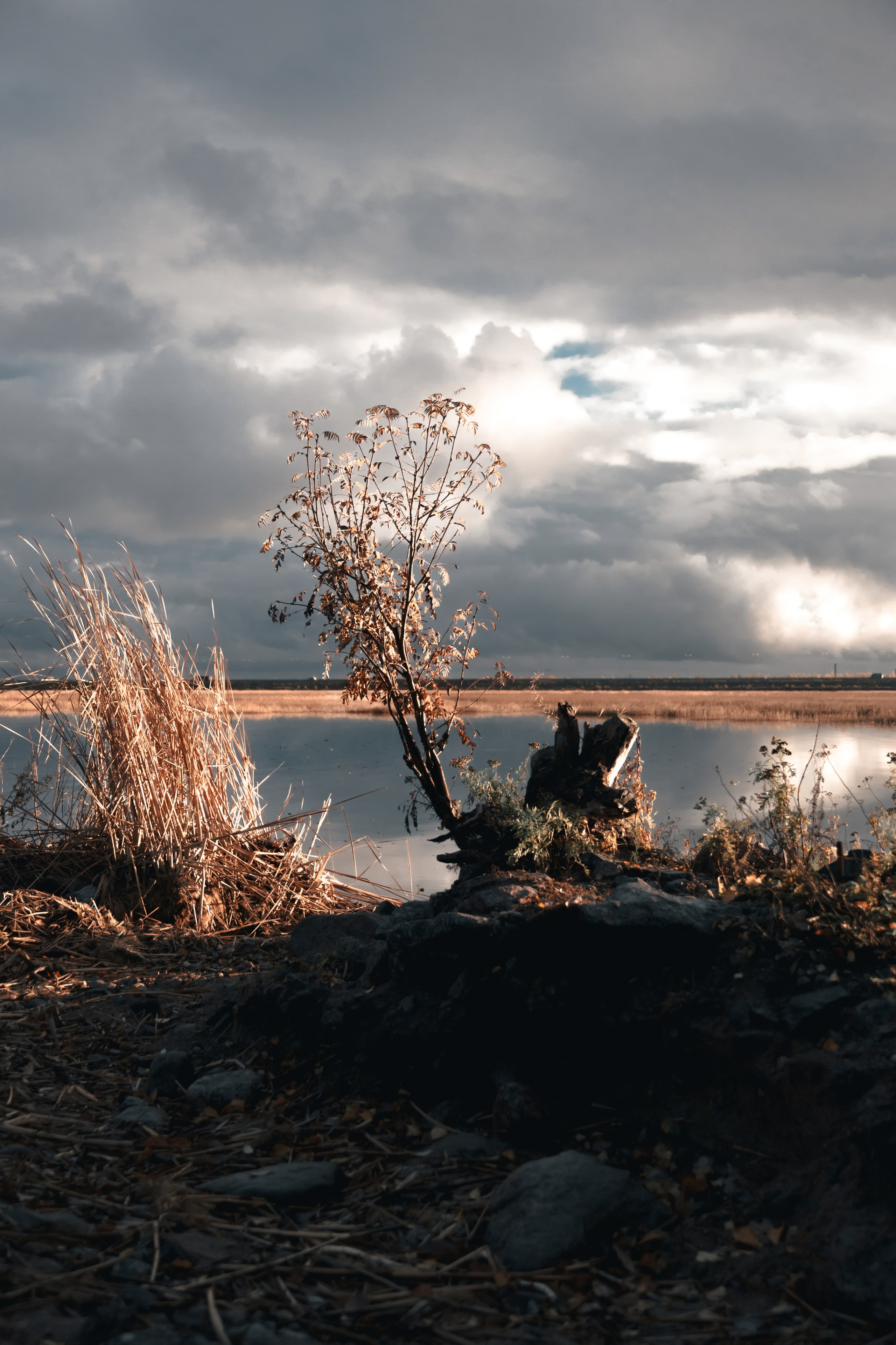 1-й Северный форт Кронштадт