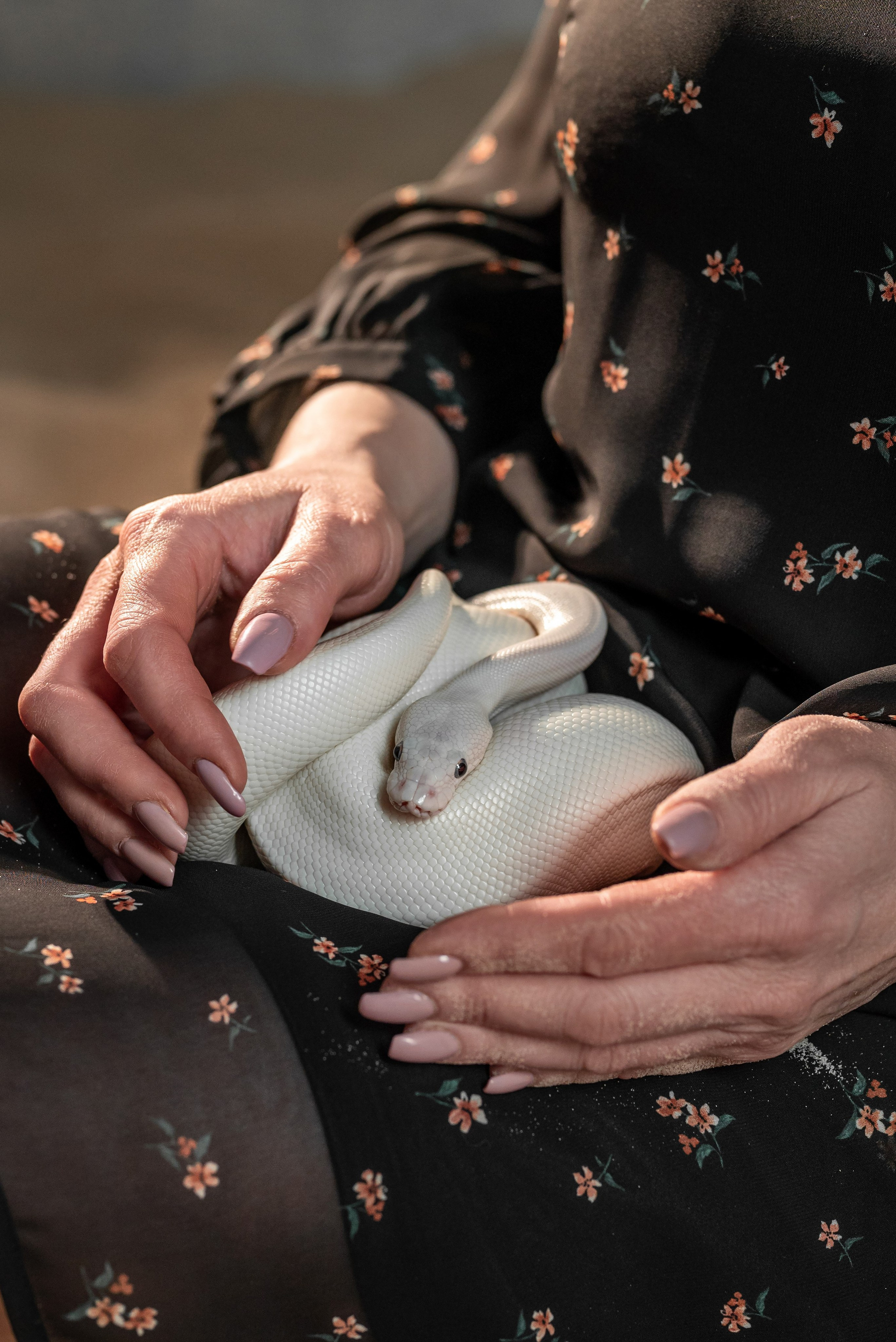 Фотопроект со змеёй 2025 г. Фотограф в городе Салават