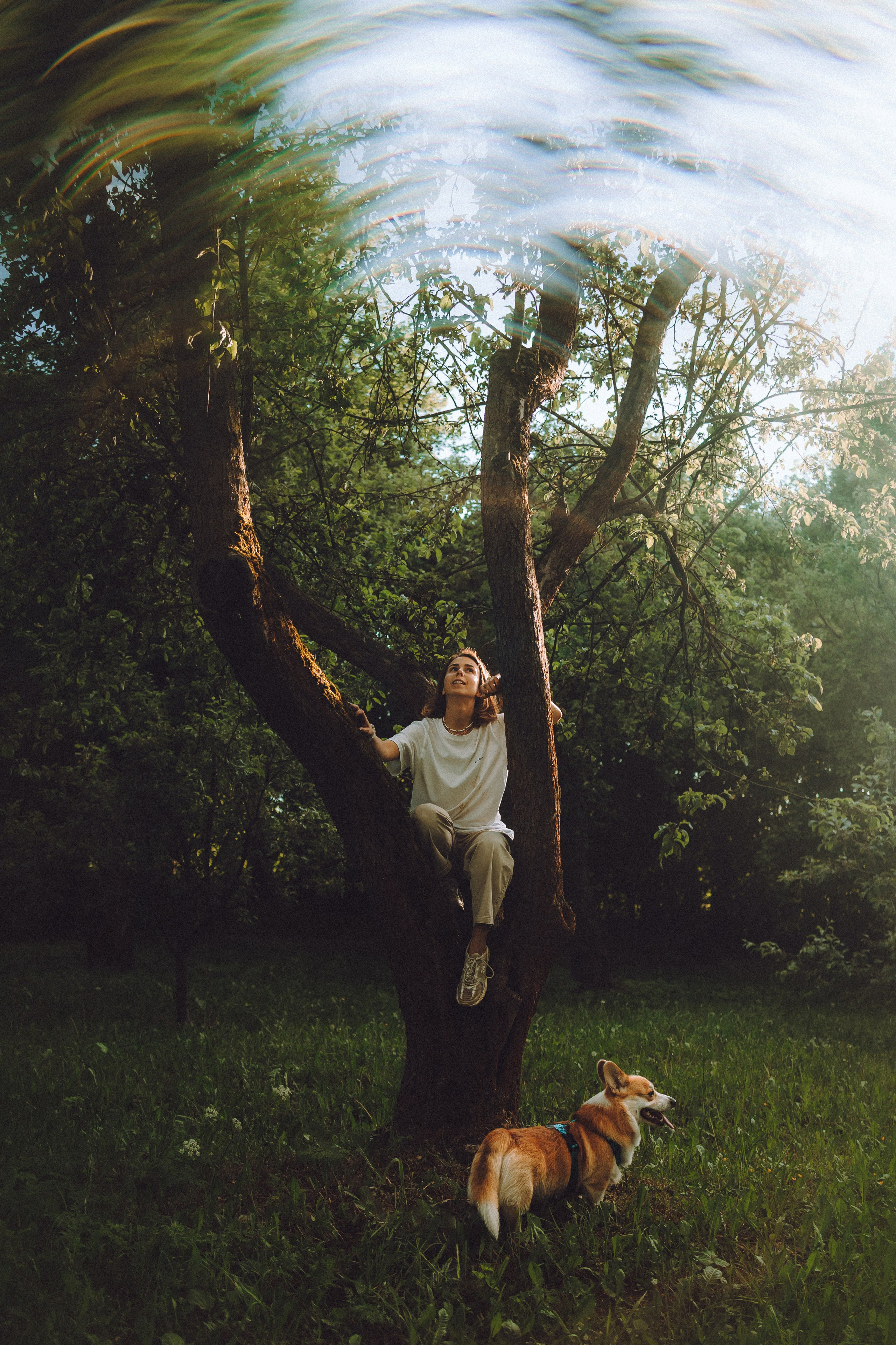 Вирджик и его семья