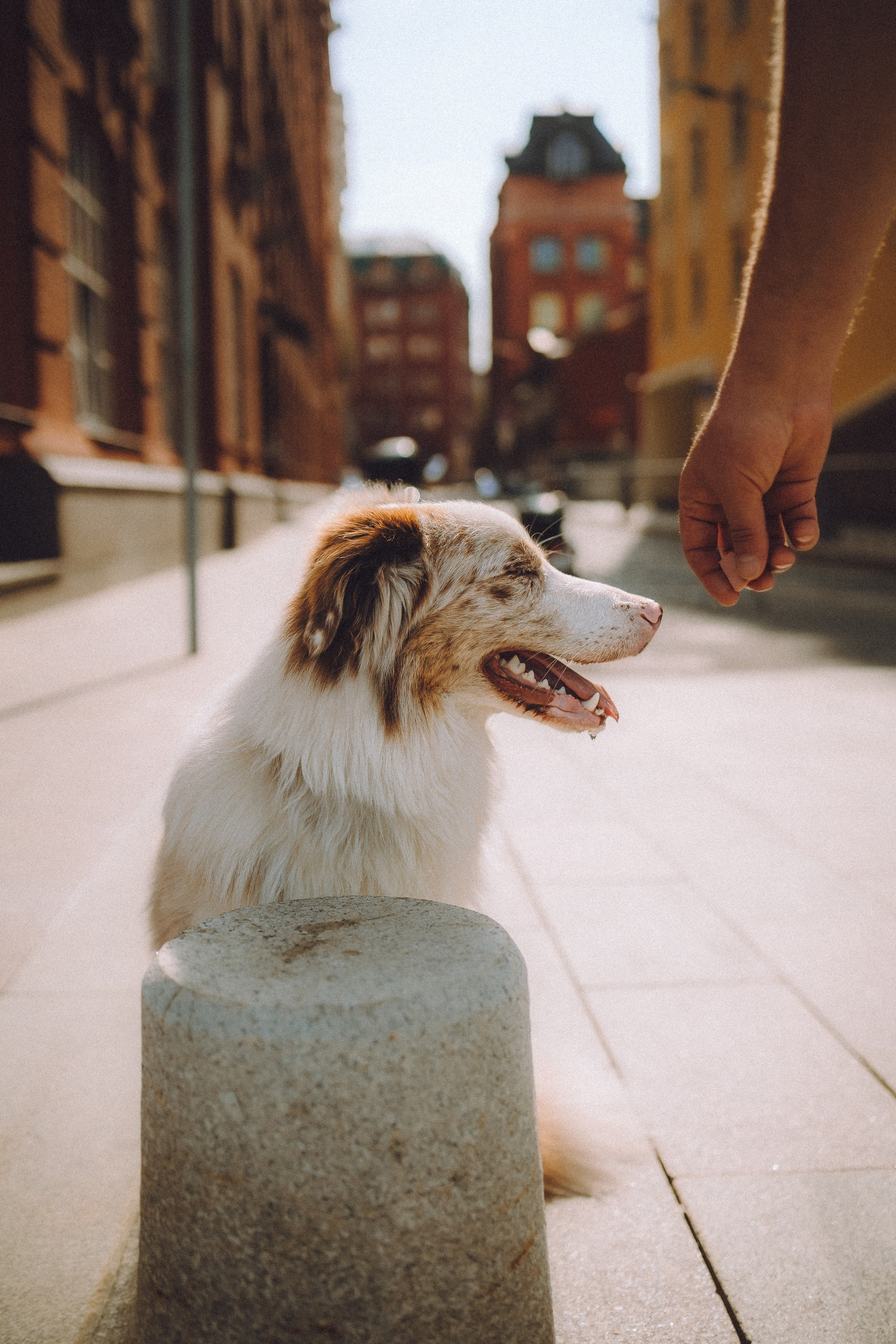 Один и его семья