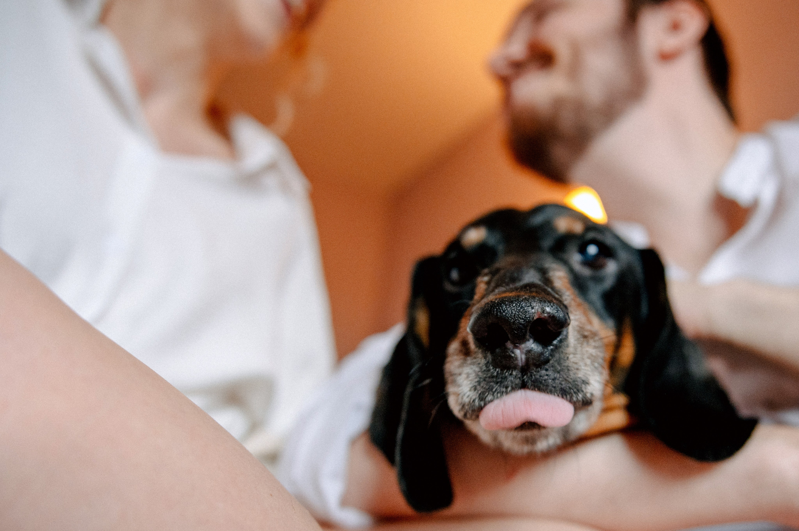 ЯРОСЛАВА И ДАНИИЛ. Шашкова Вероника / Свадебный и семейный фотограф Москва и Ярославль