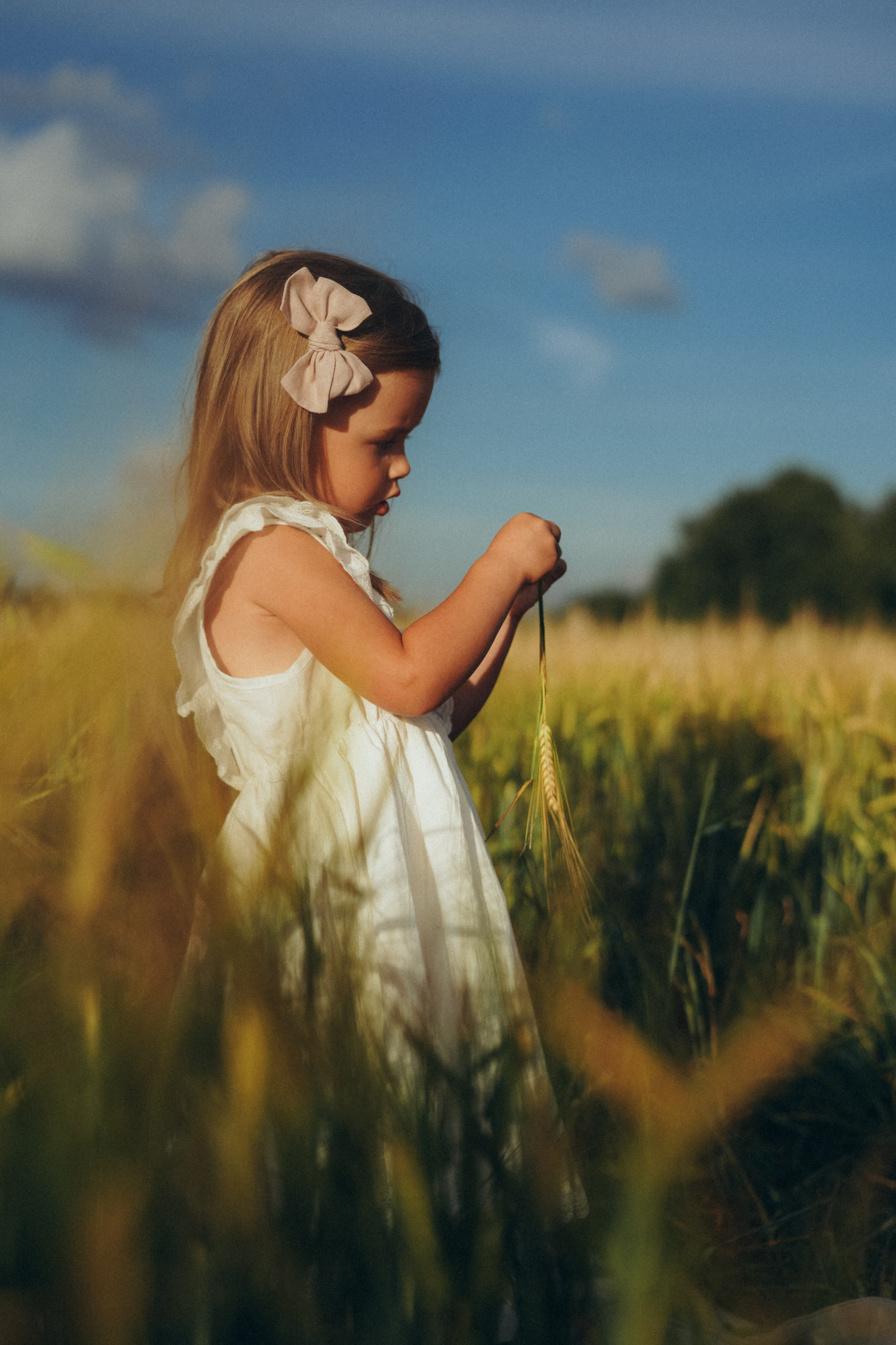 Пшеничное поле. Семейный и женский фотограф в Санкт-Петербурге Татьяна Стружкина