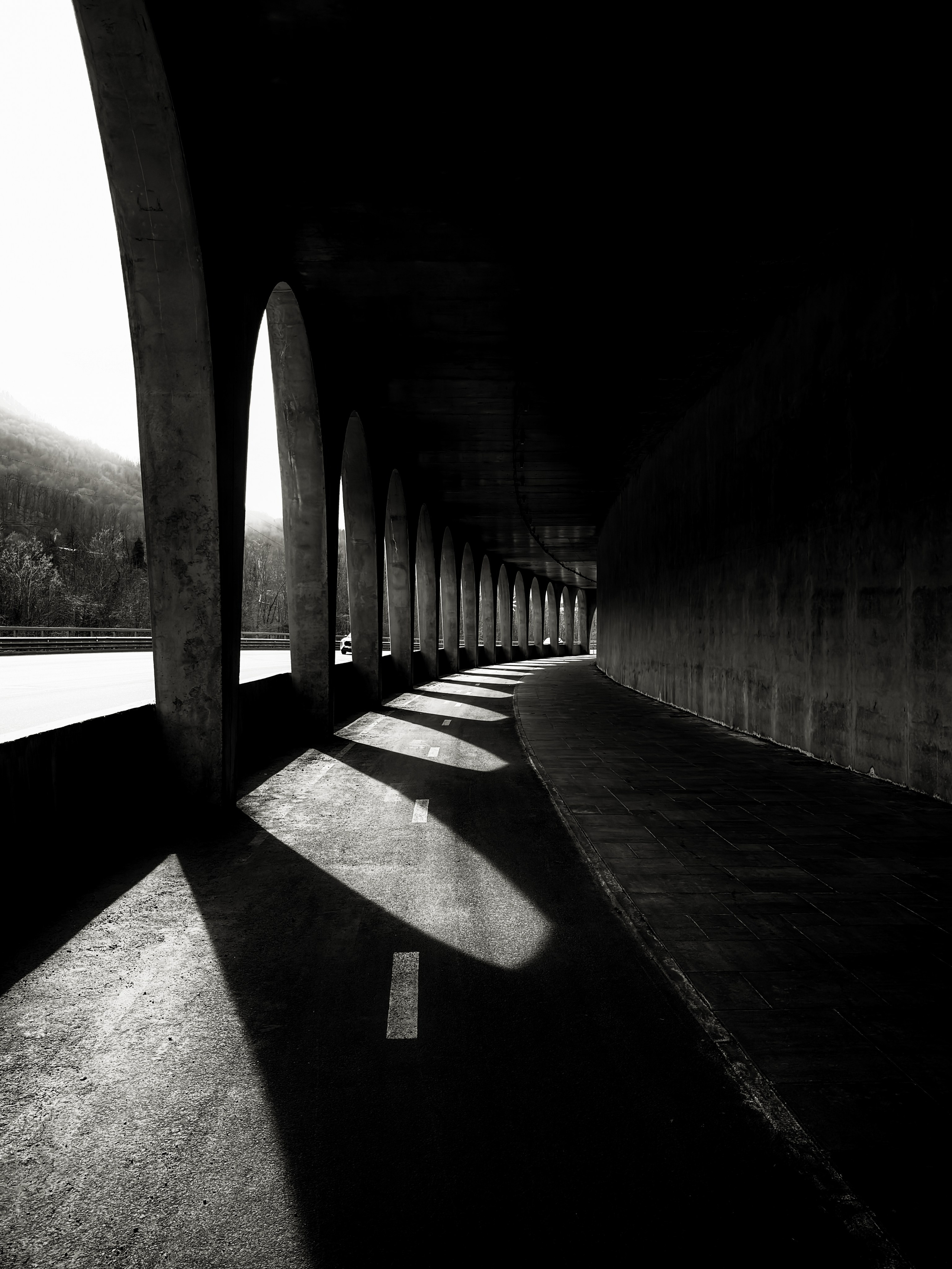 Курс по мобильной фотографии. ФОТОШКОЛА VISION — курс по мобильной фотографии в Москве, курс по фотографии Владимира Васильева