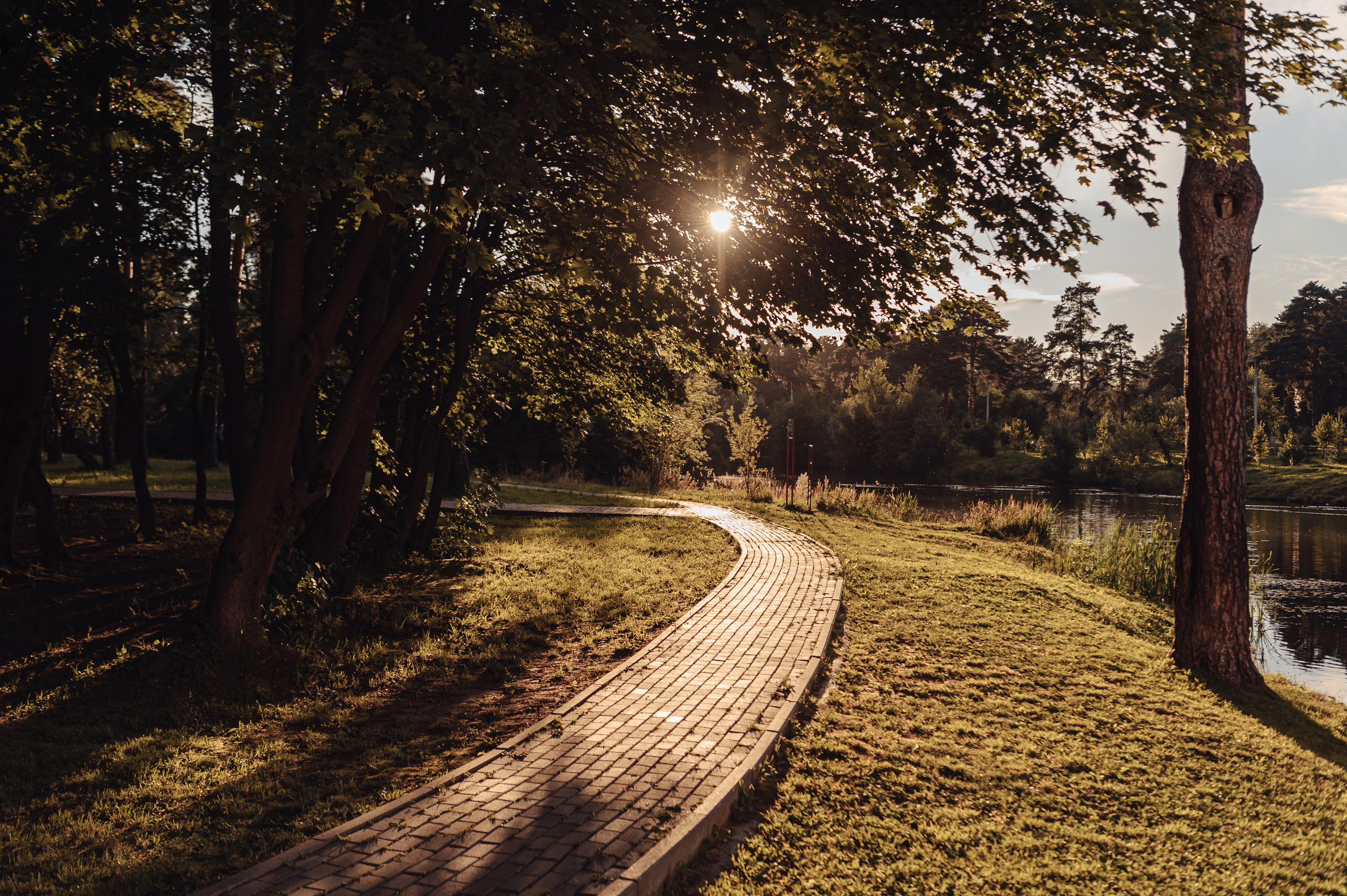 Свадебная фотосессия в г.Видное. Свадебная фотосессия в Москве