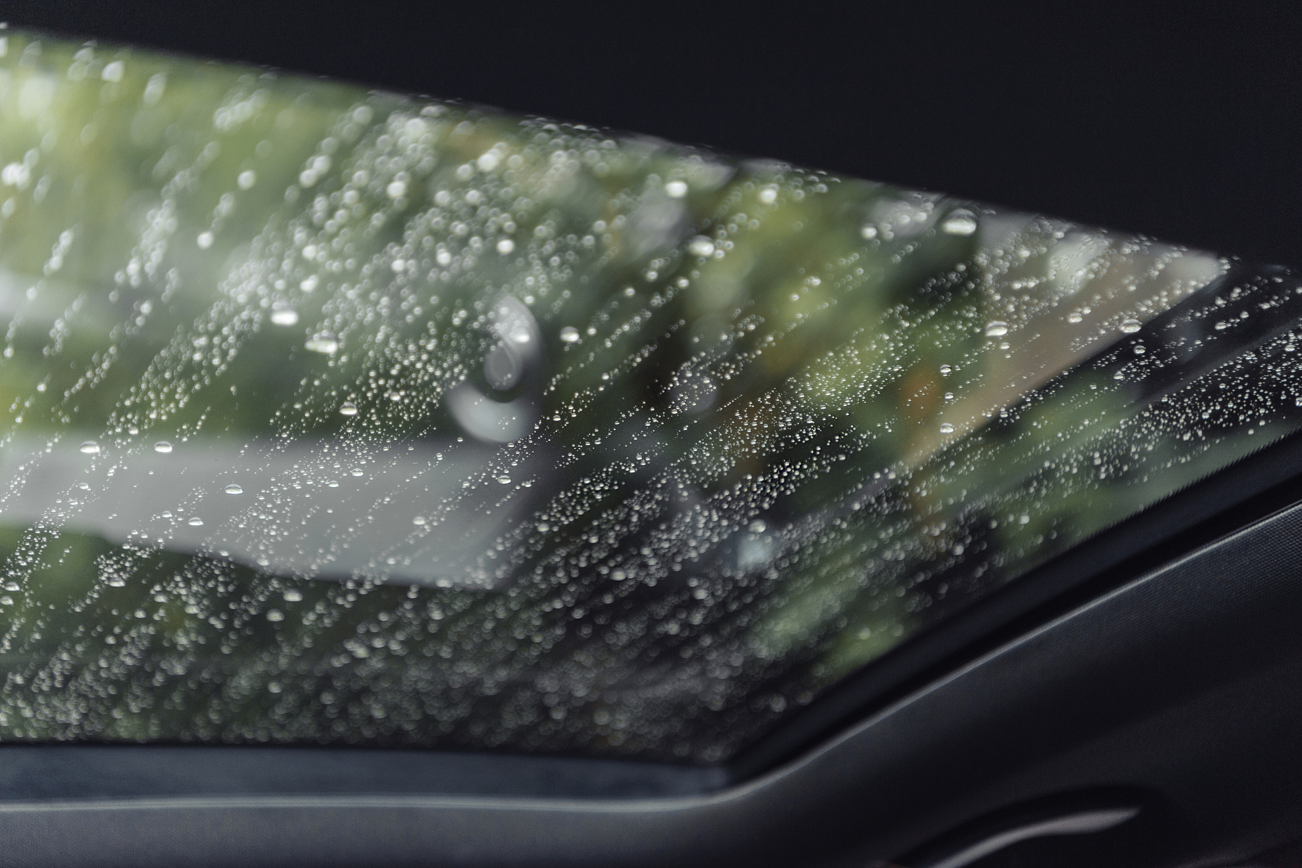 Свадебная фотосессия в г.Видное. Свадебная фотосессия в Москве