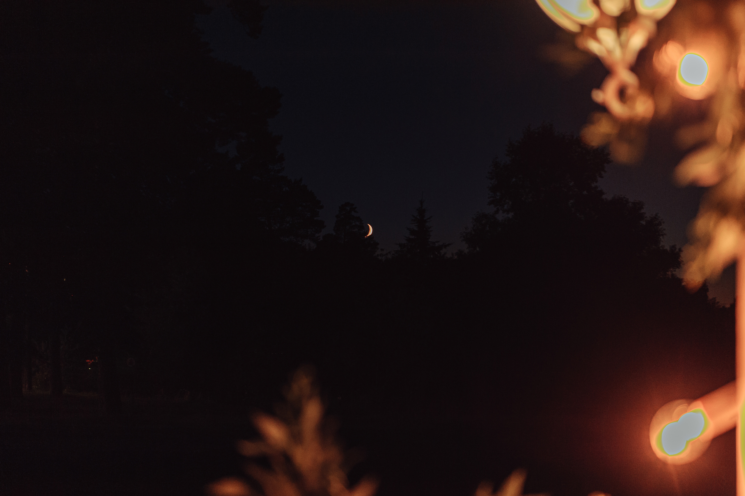 Свадебная фотосессия в г.Видное. Свадебная фотосессия в Москве