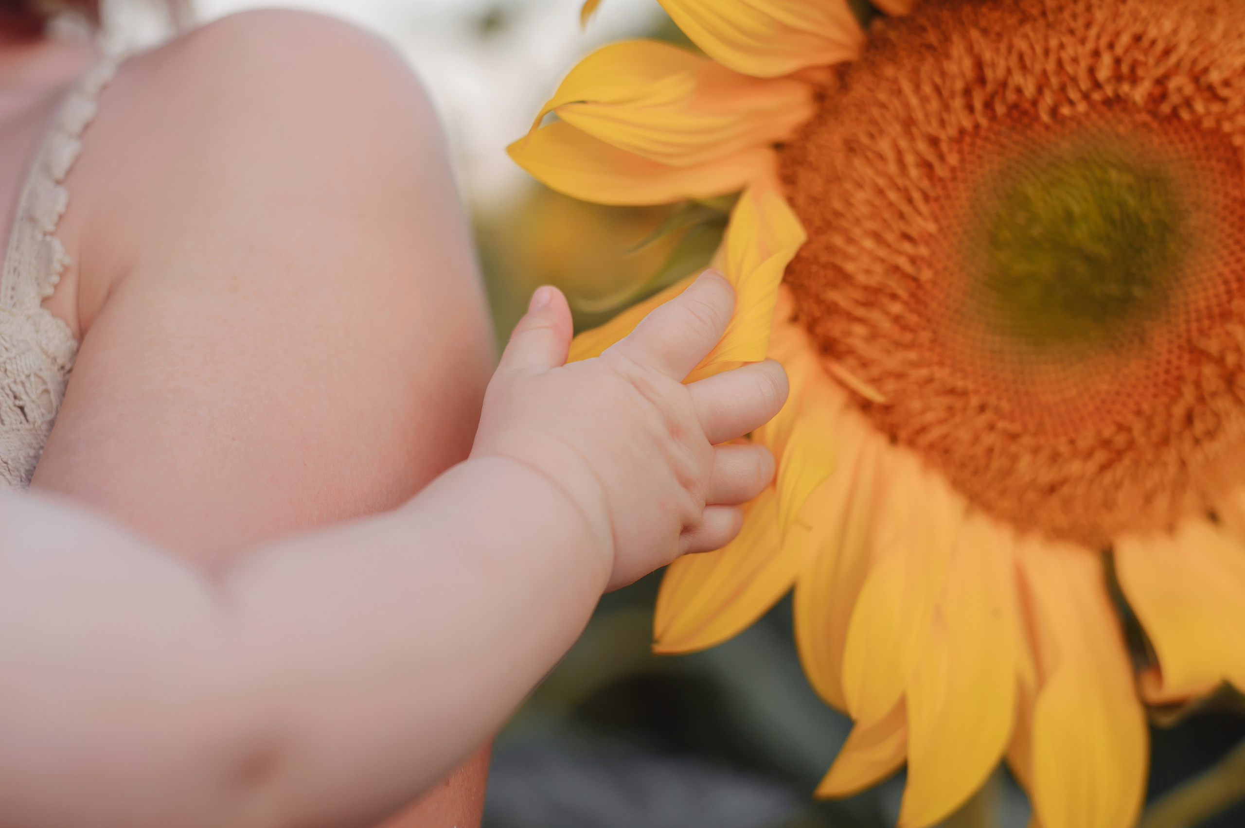 Семейная сьемка. Г. Абинск. Семейный фотограф Ульяна Вишнякова