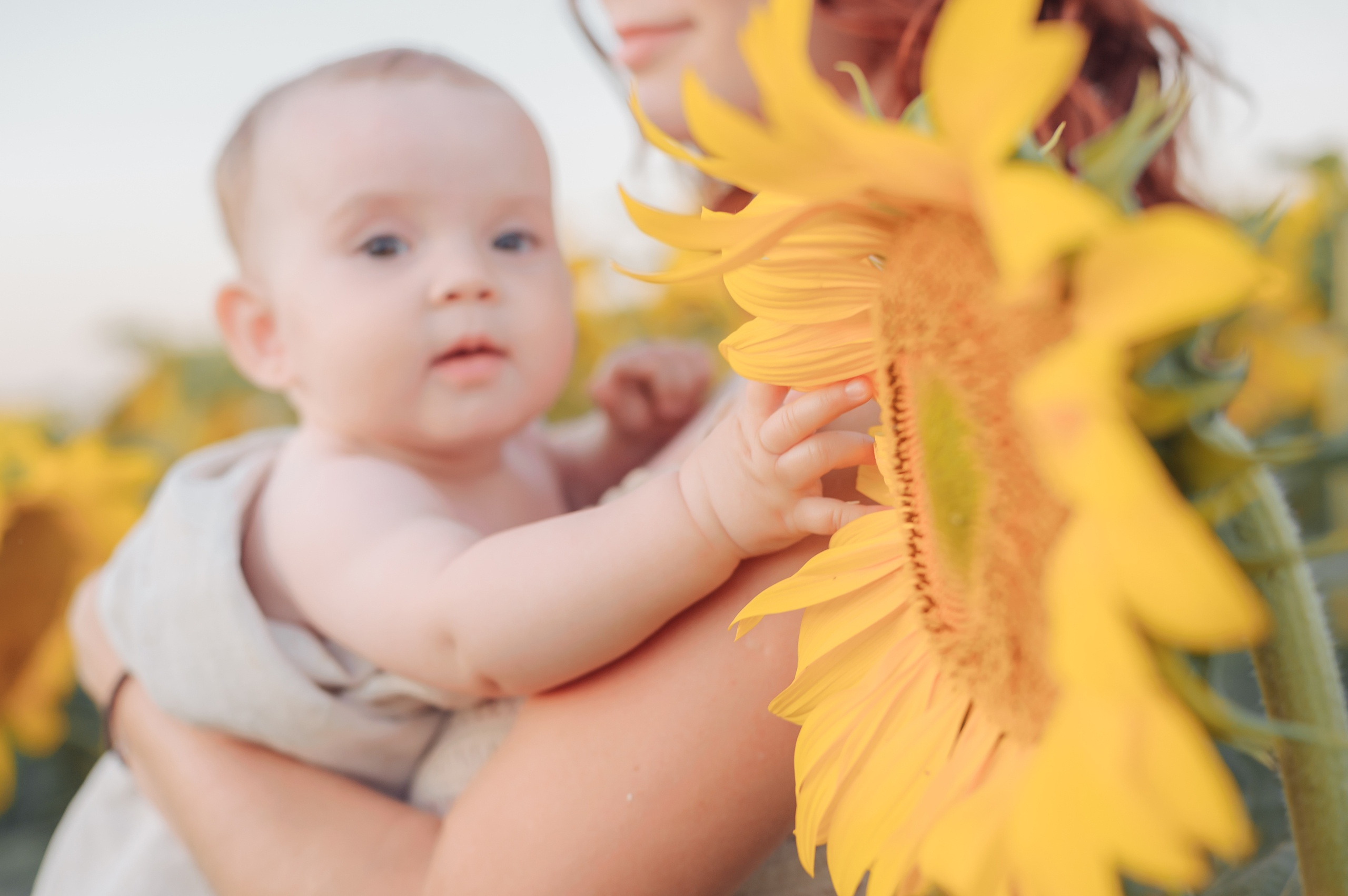 Семейная сьемка. Г. Абинск. Семейный фотограф Ульяна Вишнякова