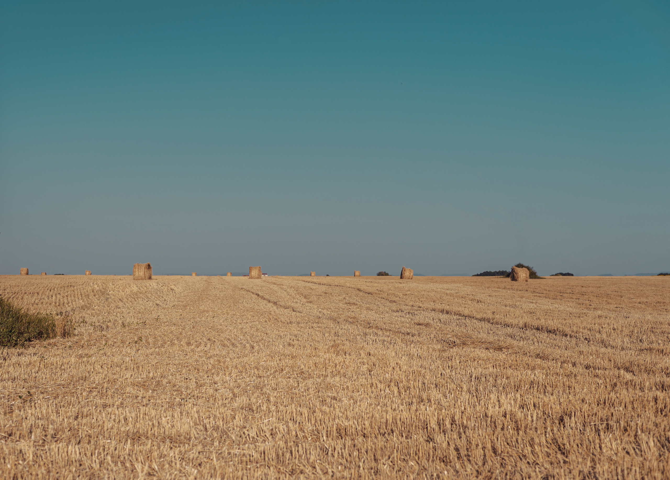 Семейная сьемка. Г. Абинск. Семейный фотограф Ульяна Вишнякова