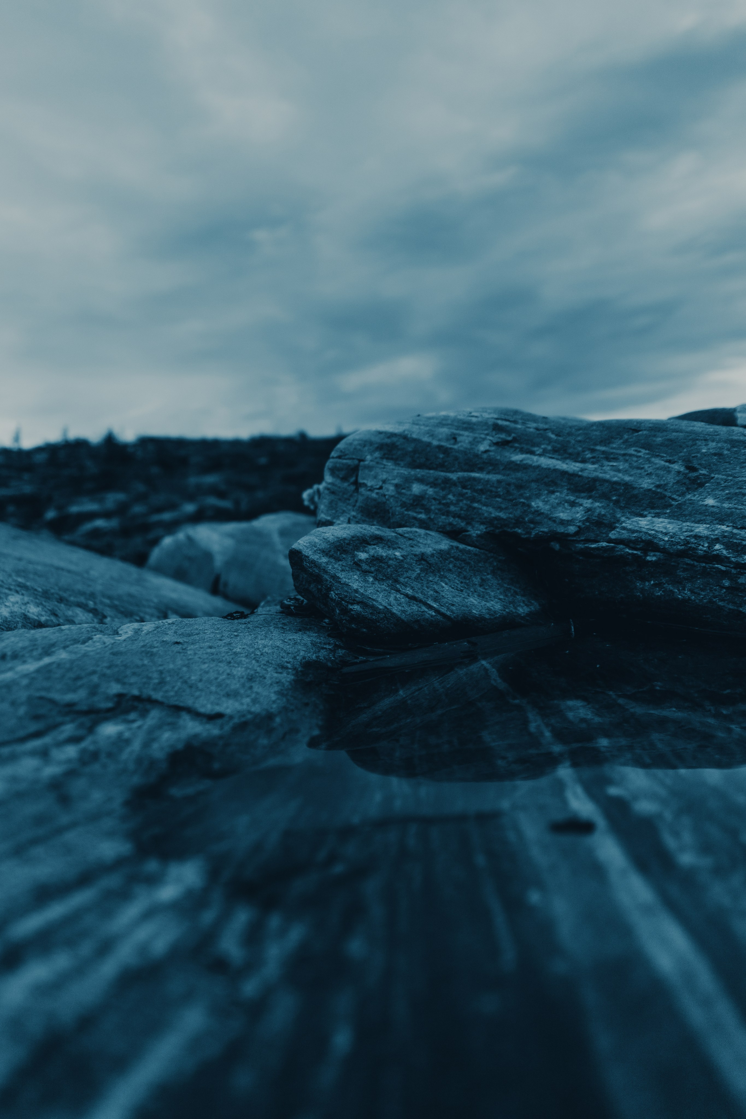 Белое море. Фотограф Санкт-Петербург Макарова Дарья