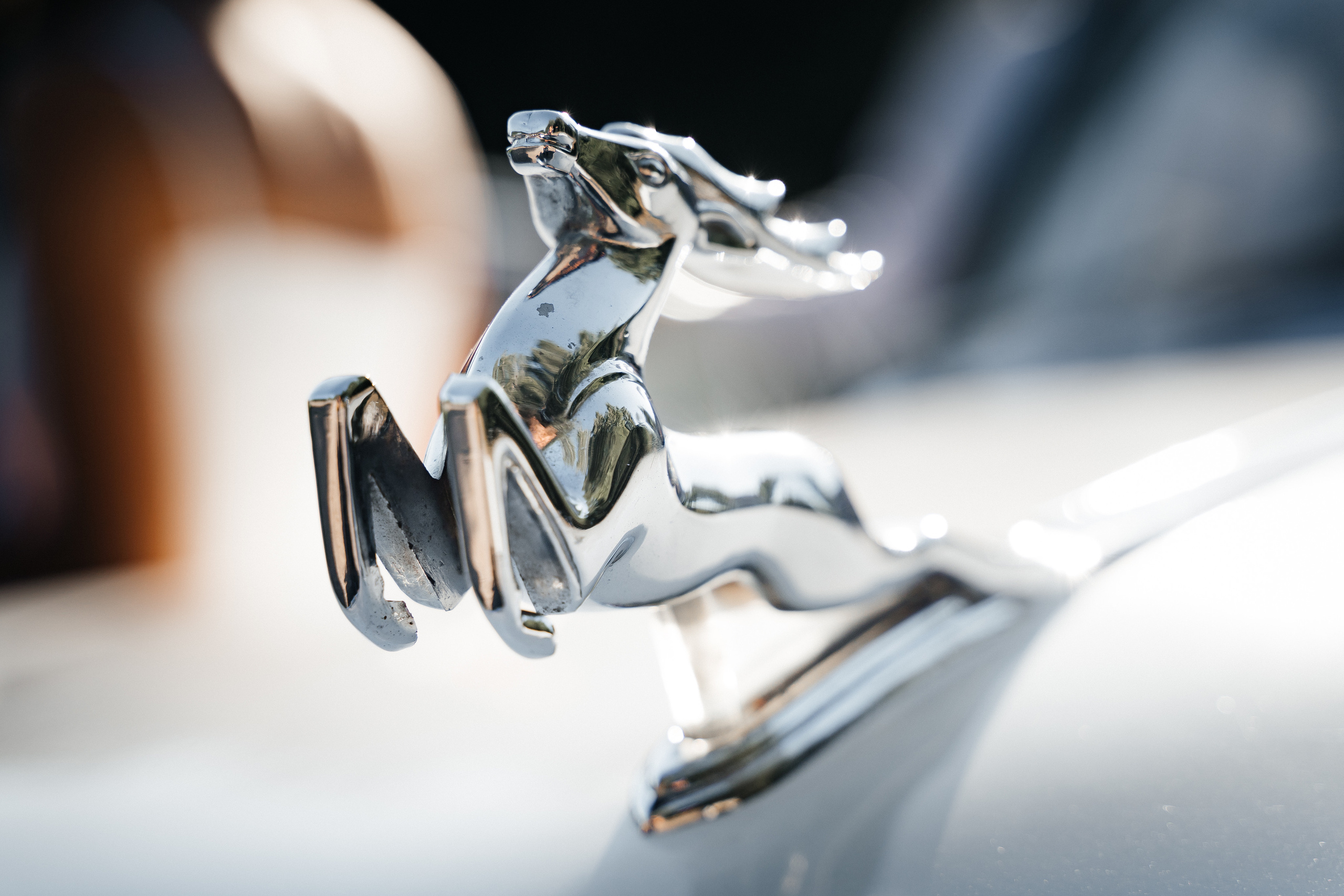 Егор и Анастасия. Фотограф Новополоцк, Полоцк, Минск, РБ, Зимаков Егор