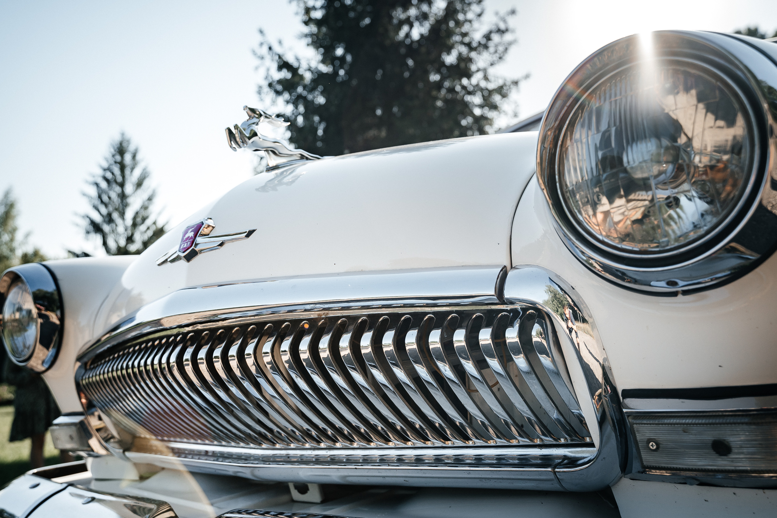 Егор и Анастасия. Фотограф Новополоцк, Полоцк, Минск, РБ, Зимаков Егор