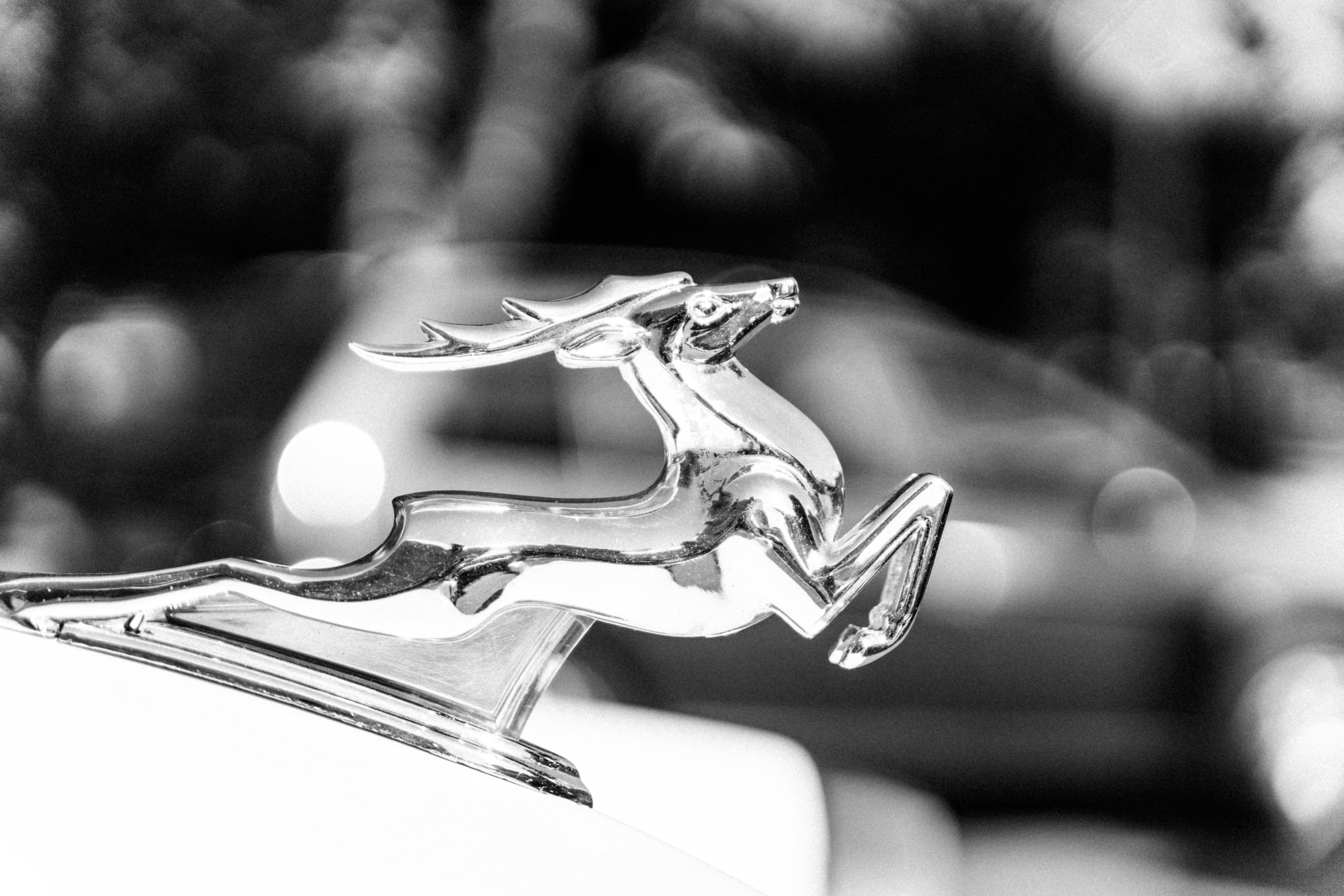 Егор и Анастасия. Фотограф Новополоцк, Полоцк, Минск, РБ, Зимаков Егор