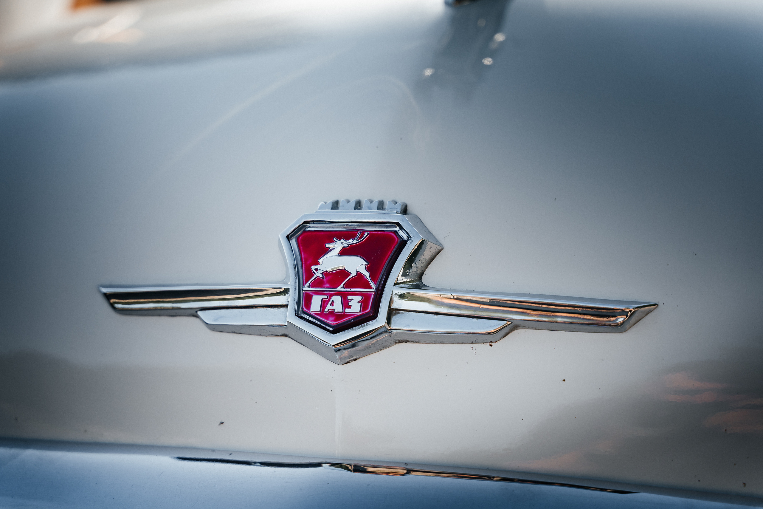 Егор и Анастасия. Фотограф Новополоцк, Полоцк, Минск, РБ, Зимаков Егор