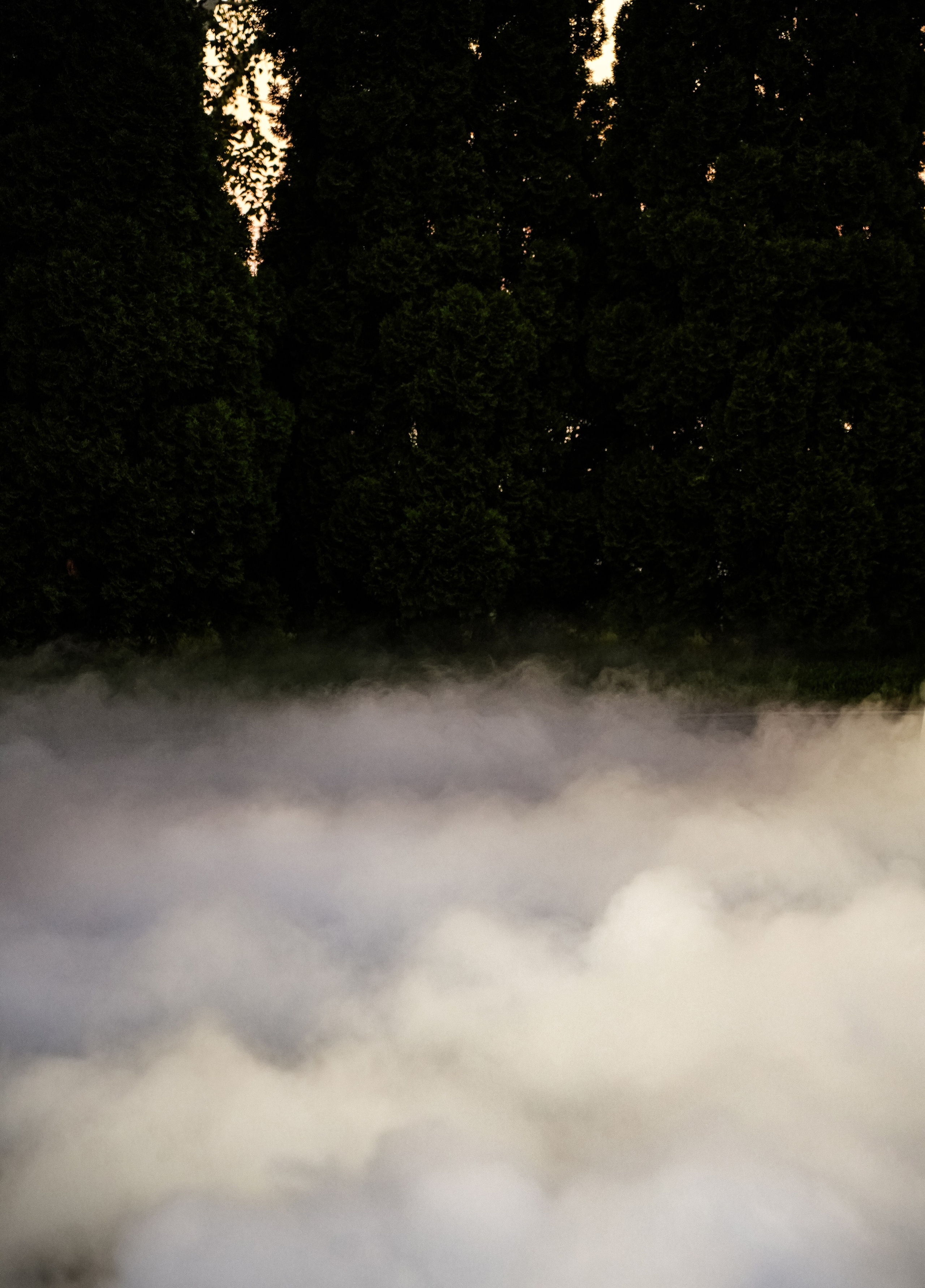 Gladioli of love. Свадебный фотограф и видеограф в Ростове-на-Дону. Максим и Наталья Лебедевы