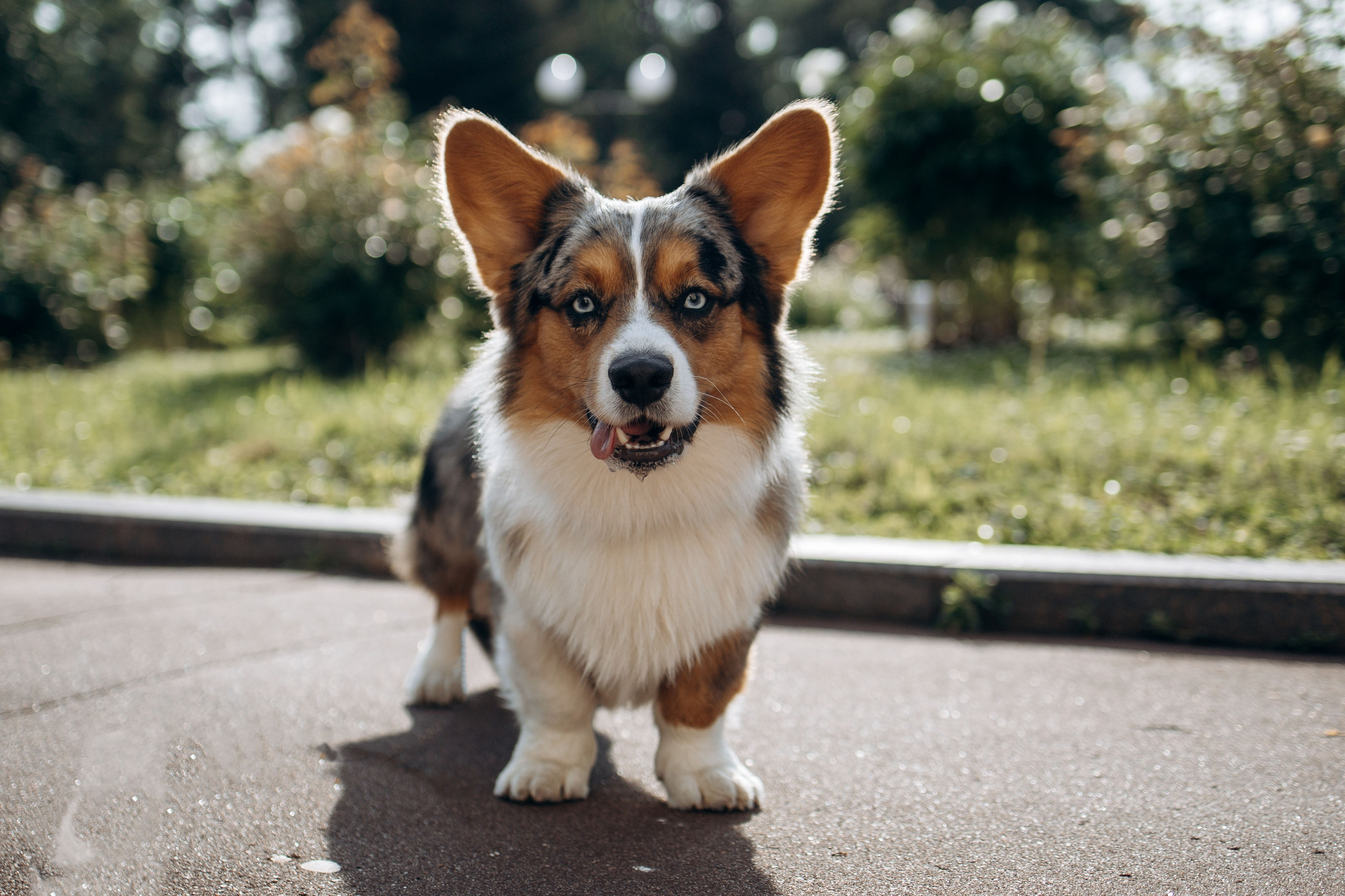 Евгения и Грей