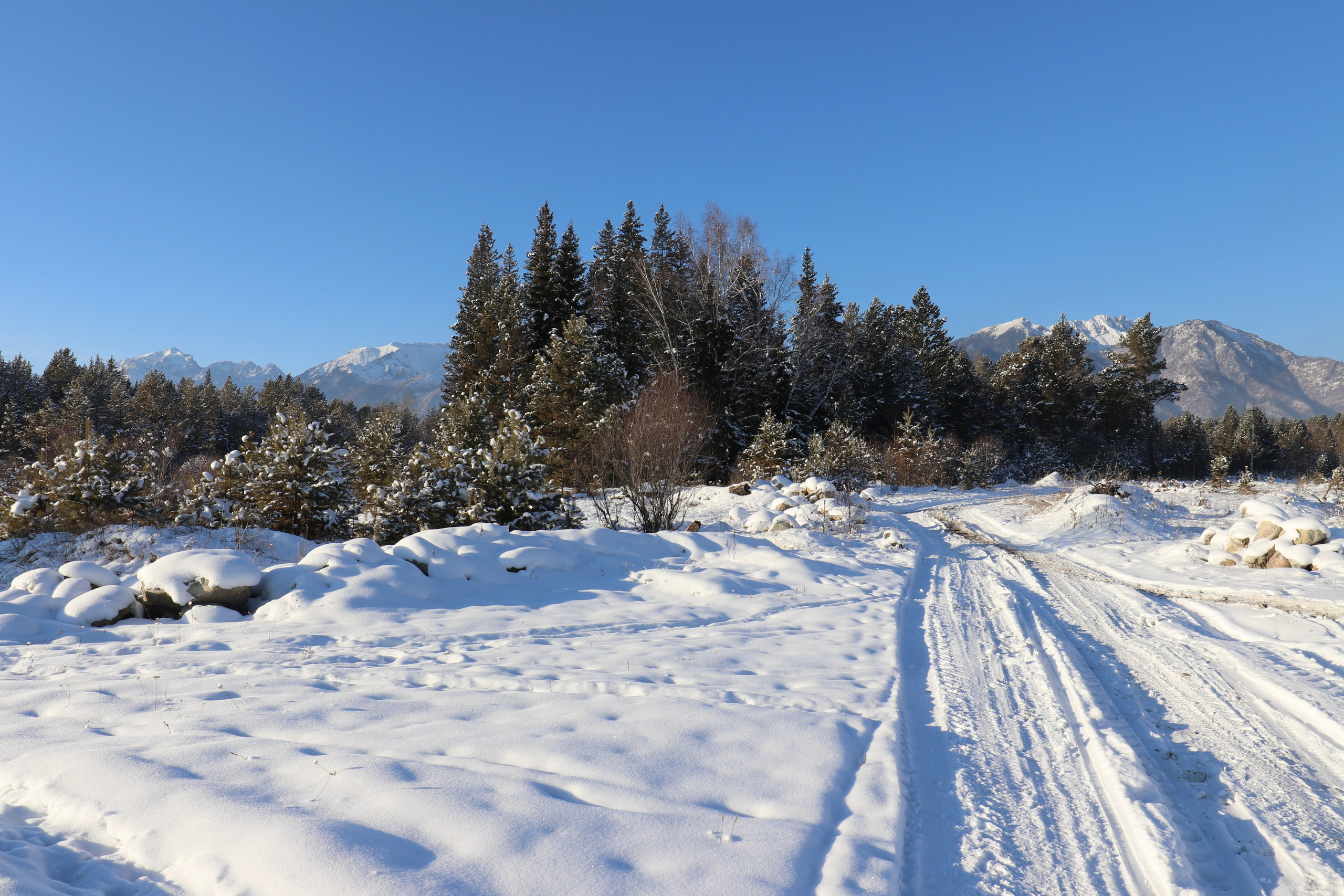 Аршан. Январь 2022. Путешественник-фотограф из Санкт-Петербурга Татьяна Свистулина
