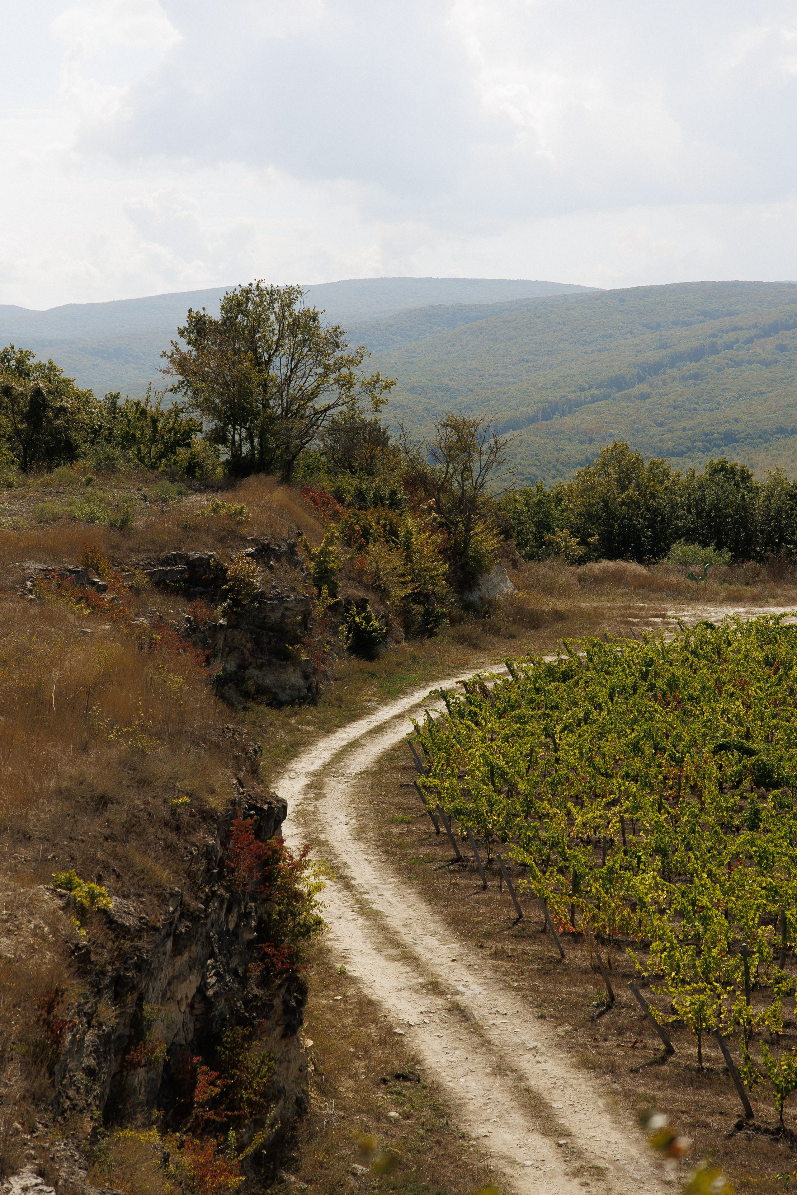 Wedding N&V. Свадебный фотограф Краснодар Юлия Ткаченко