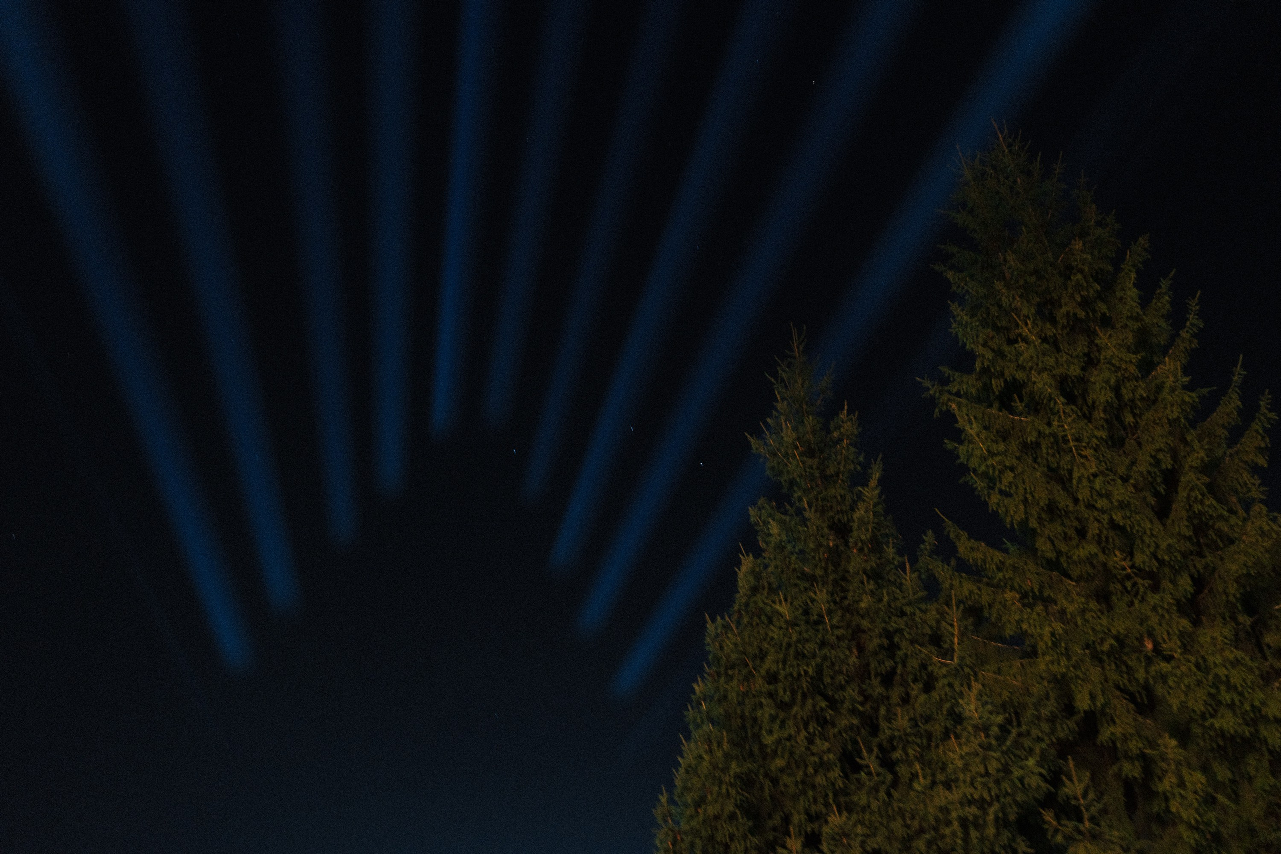 Semyon & Maria. Андрей Цветков — репортажный, свадебный и портретный фотограф в Санкт-Петербурге