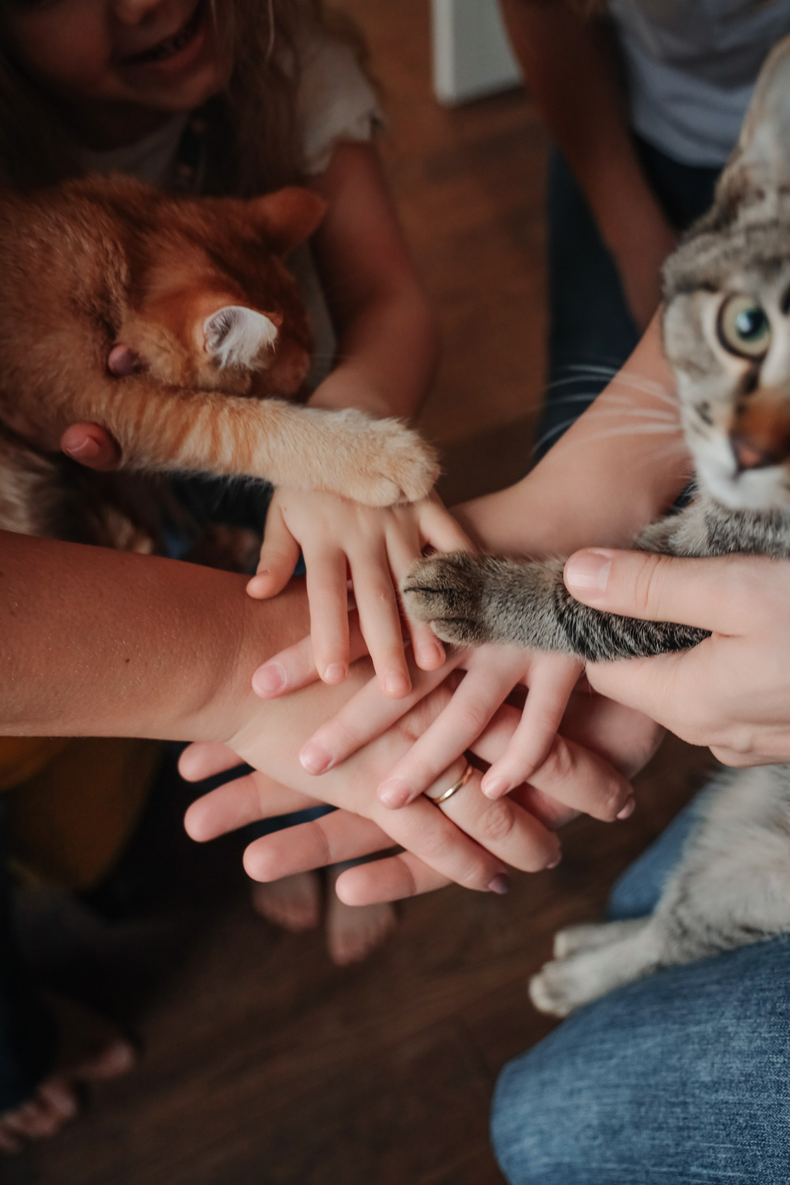 Соня. Свадебный и семейный фотограф Юлия Девятайкина