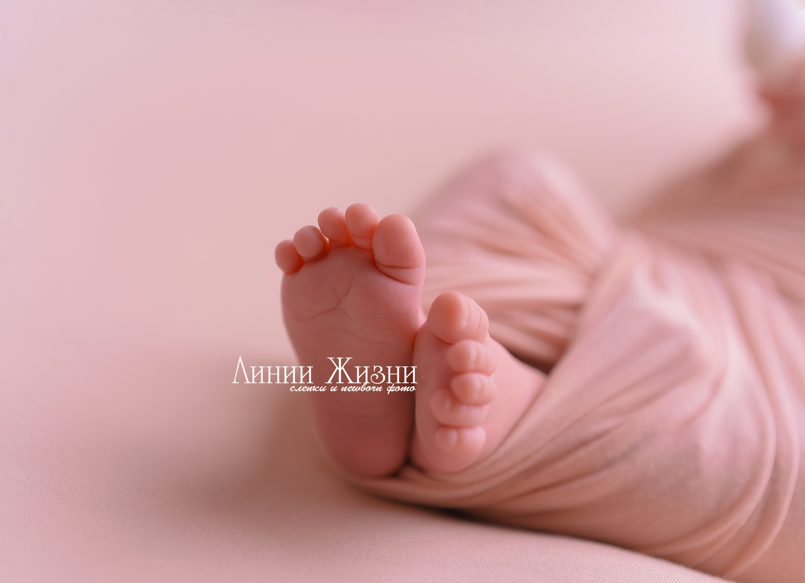 Тимур 1 месяц. Фотограф новорожденных в Нижнем Новгороде Сергеева Оксана