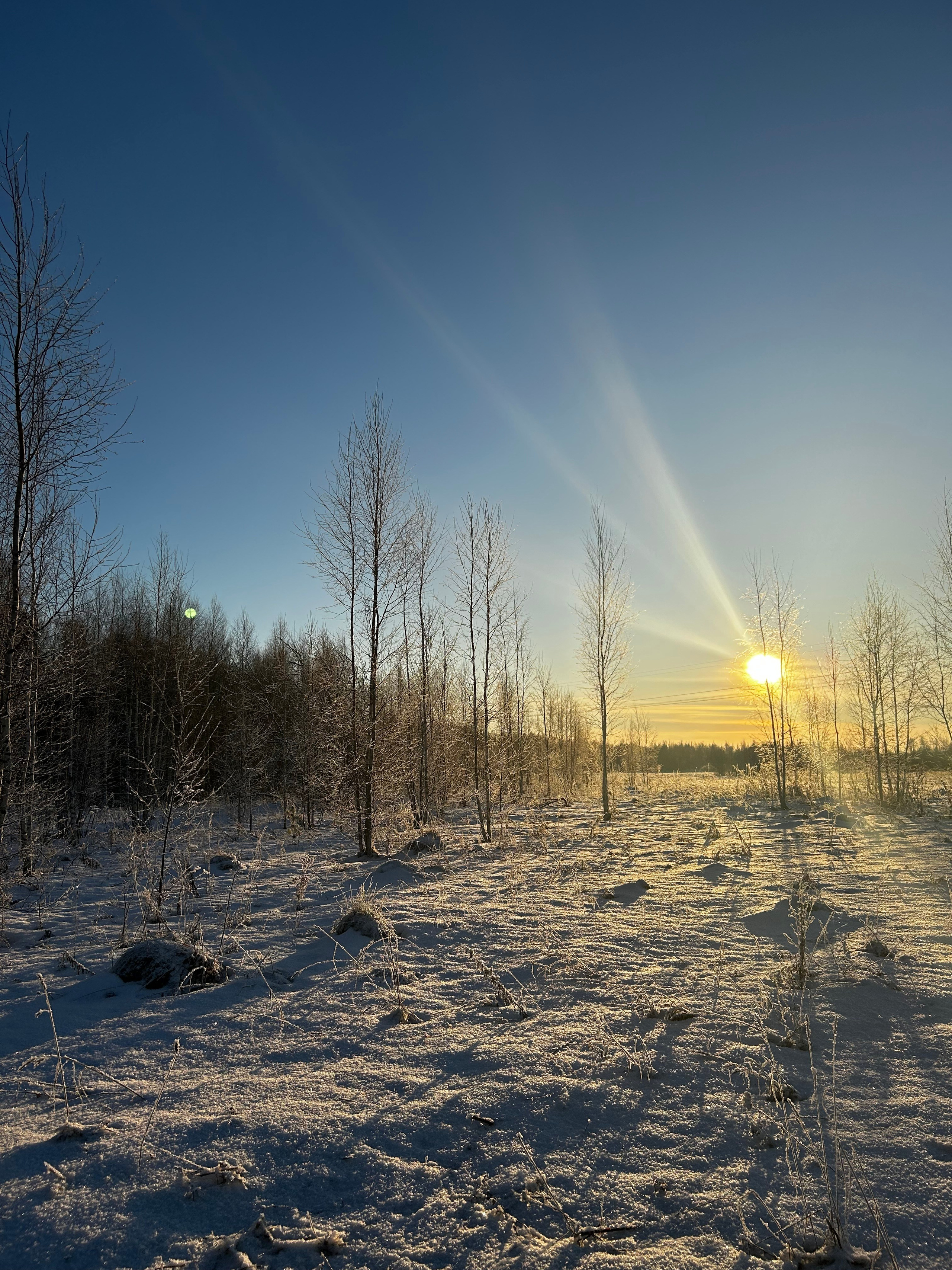 Природа. Фотокружок «Видоискатель» ГБОУ СОШ № 291