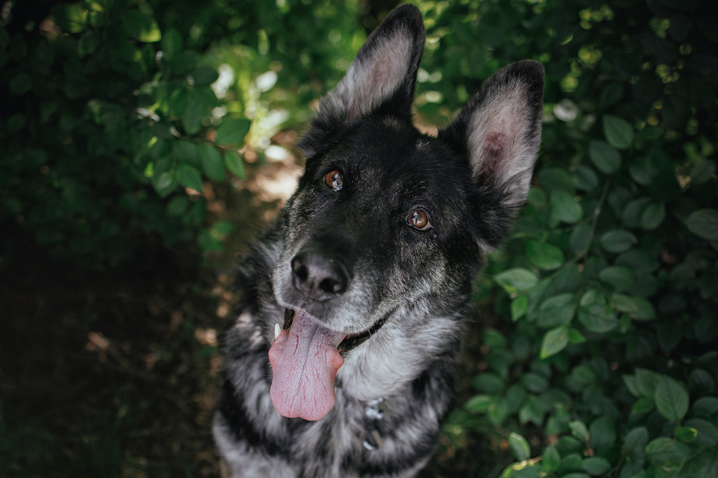 Анжелика и Линда. Фотограф Наталья Потапова