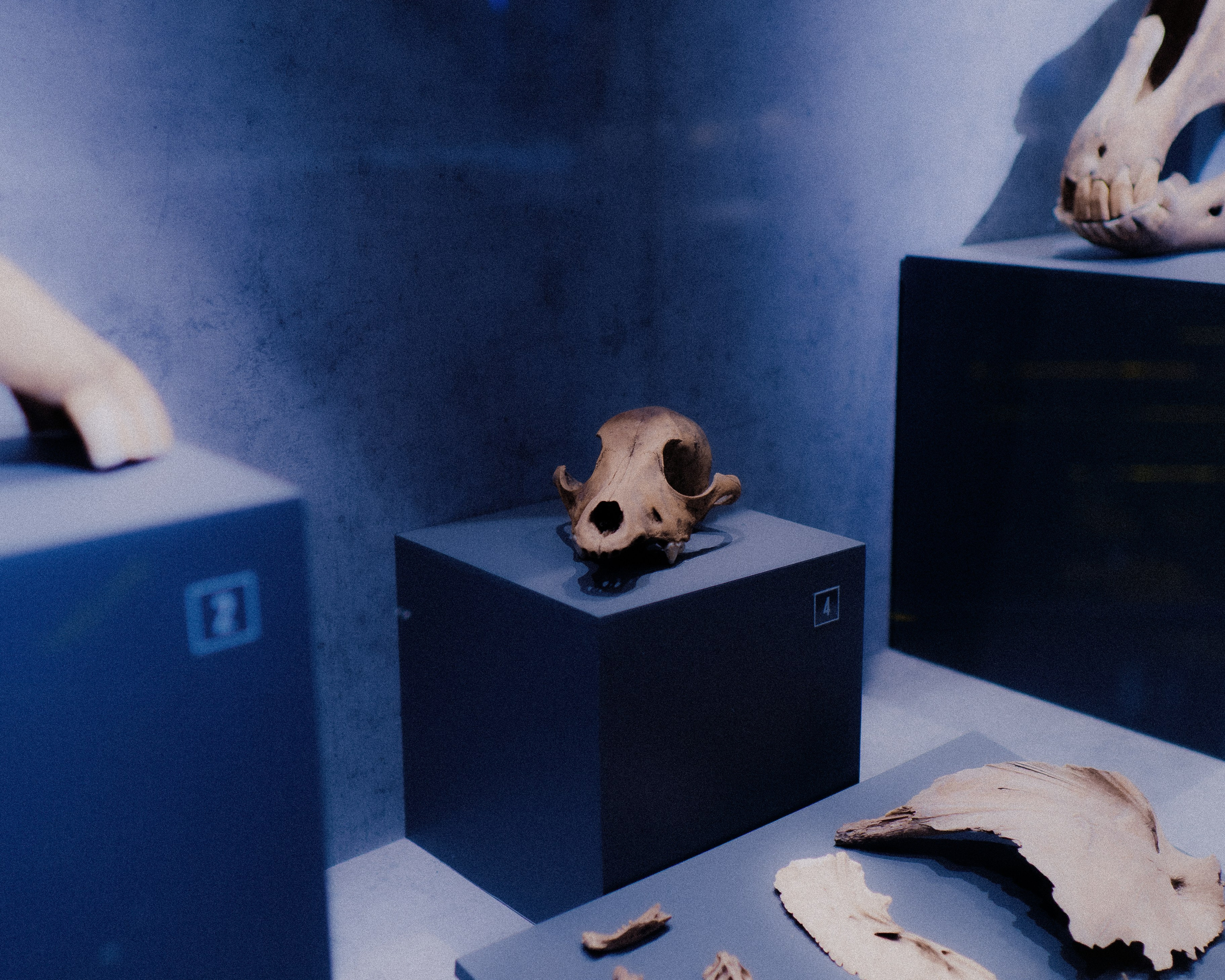 Тула '25. Фёдор Малюгин. Ваш бади в визуале