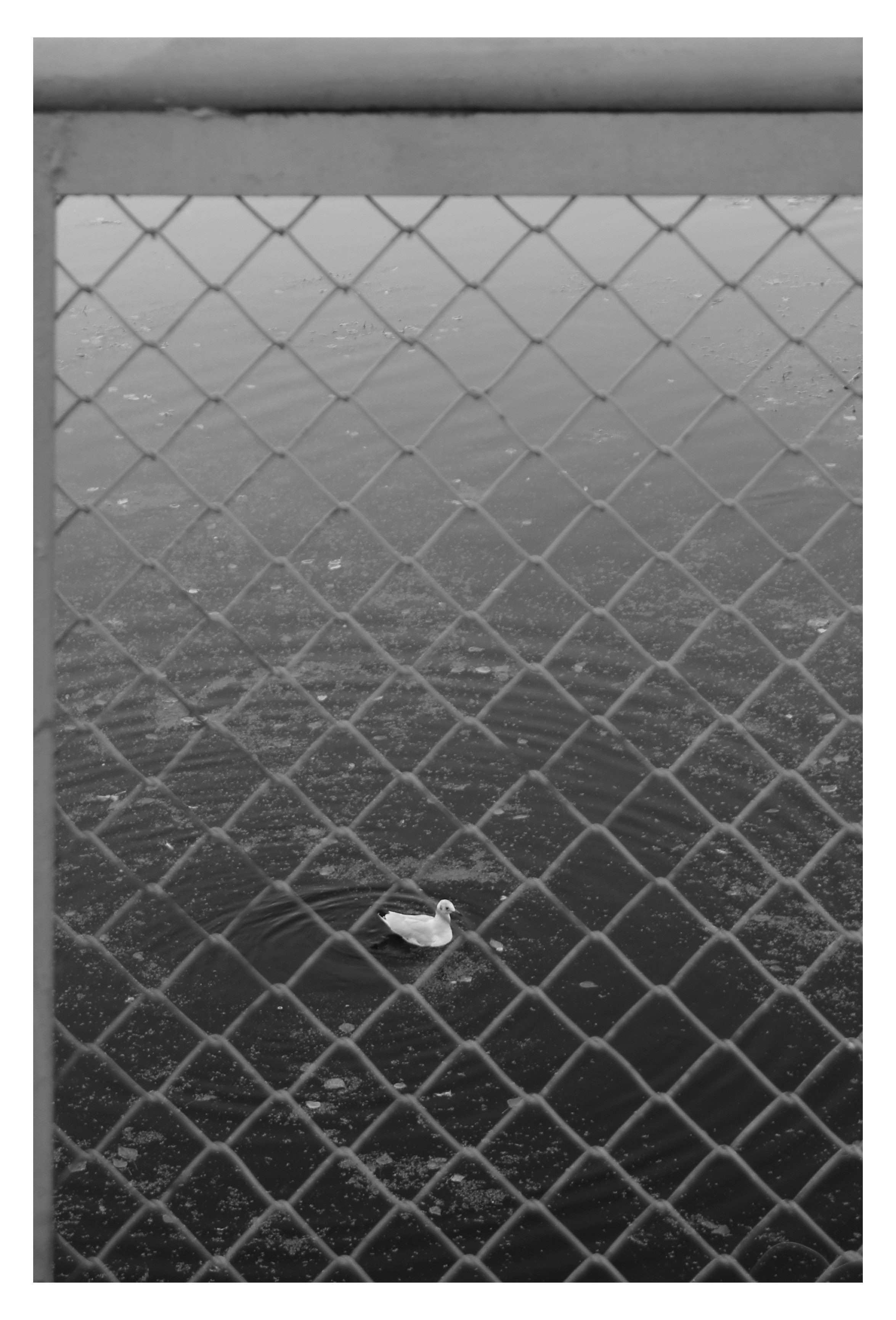 CHELYABINSK. Photographer Manakova Olga