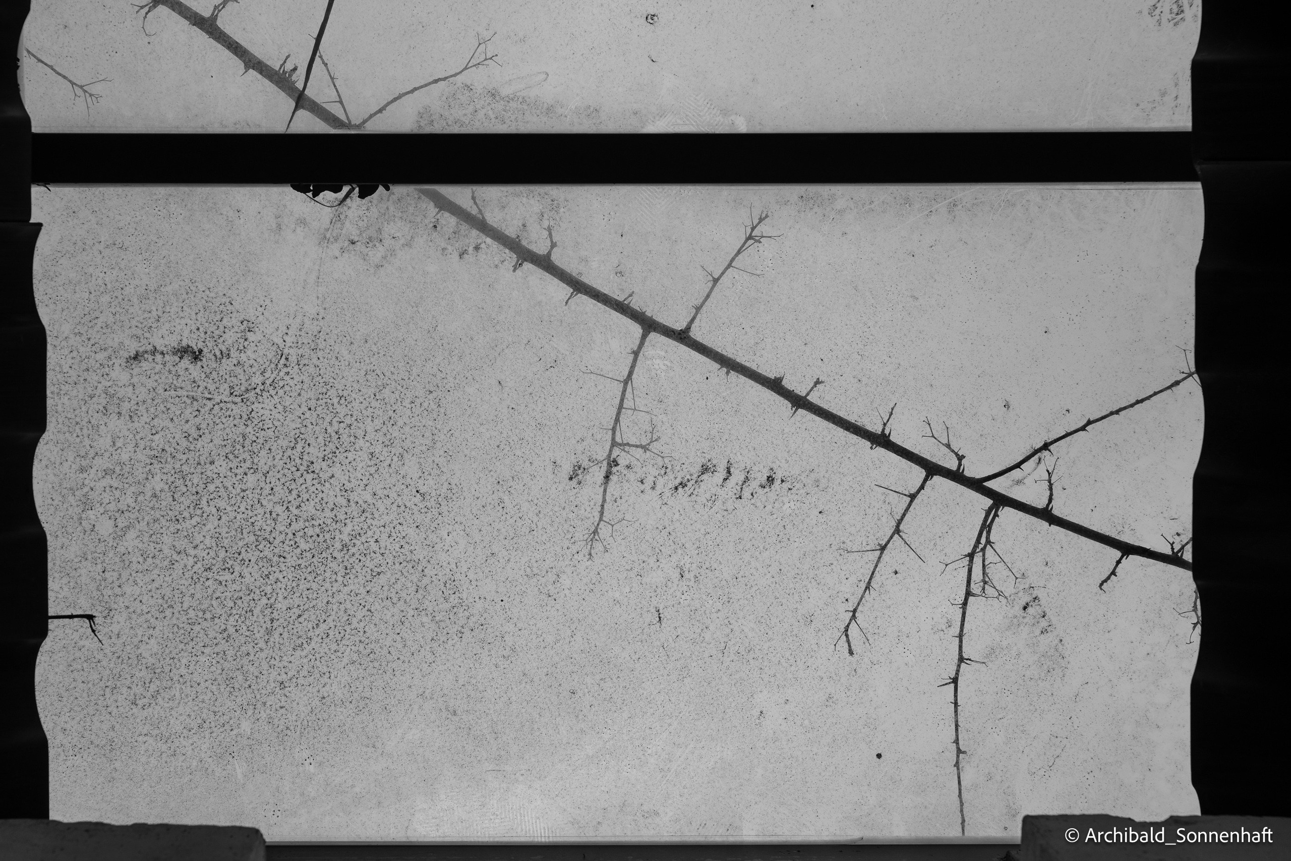 Diaolou in Kaiping. Photographer in Guangzhou, China. Archibald Sonnenhaft