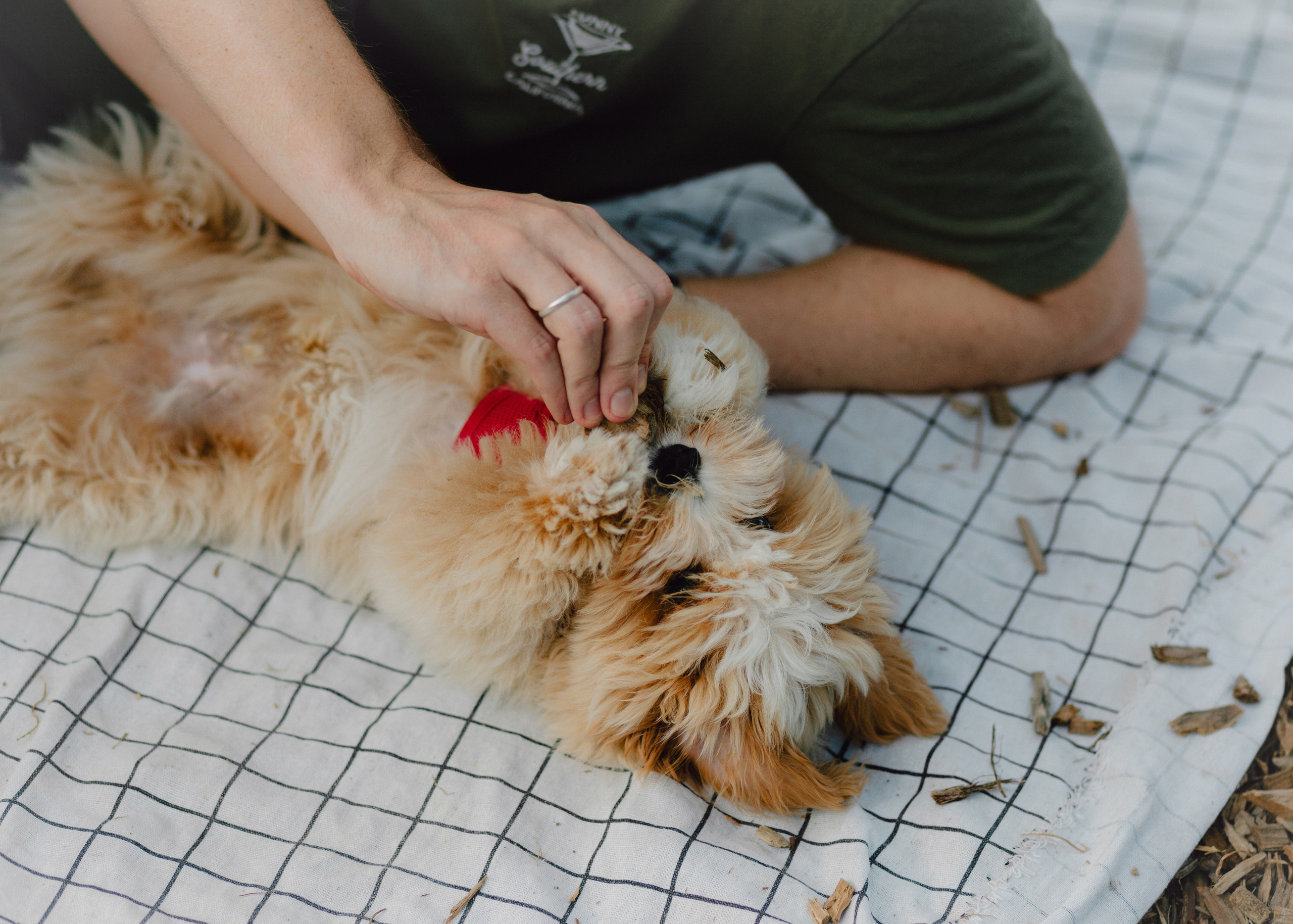 J&J Family. Barbara Isaeva