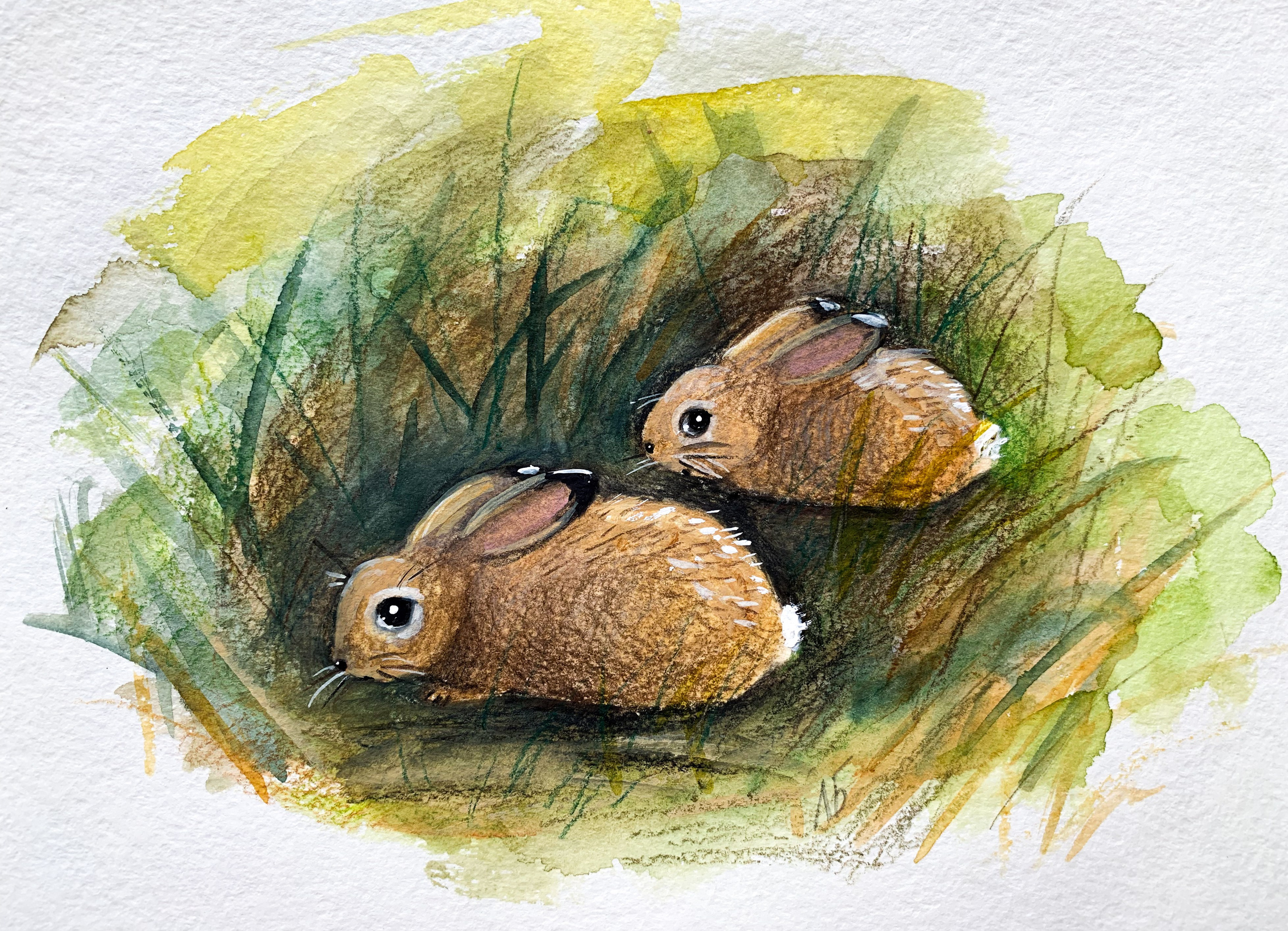 Иллюстрации