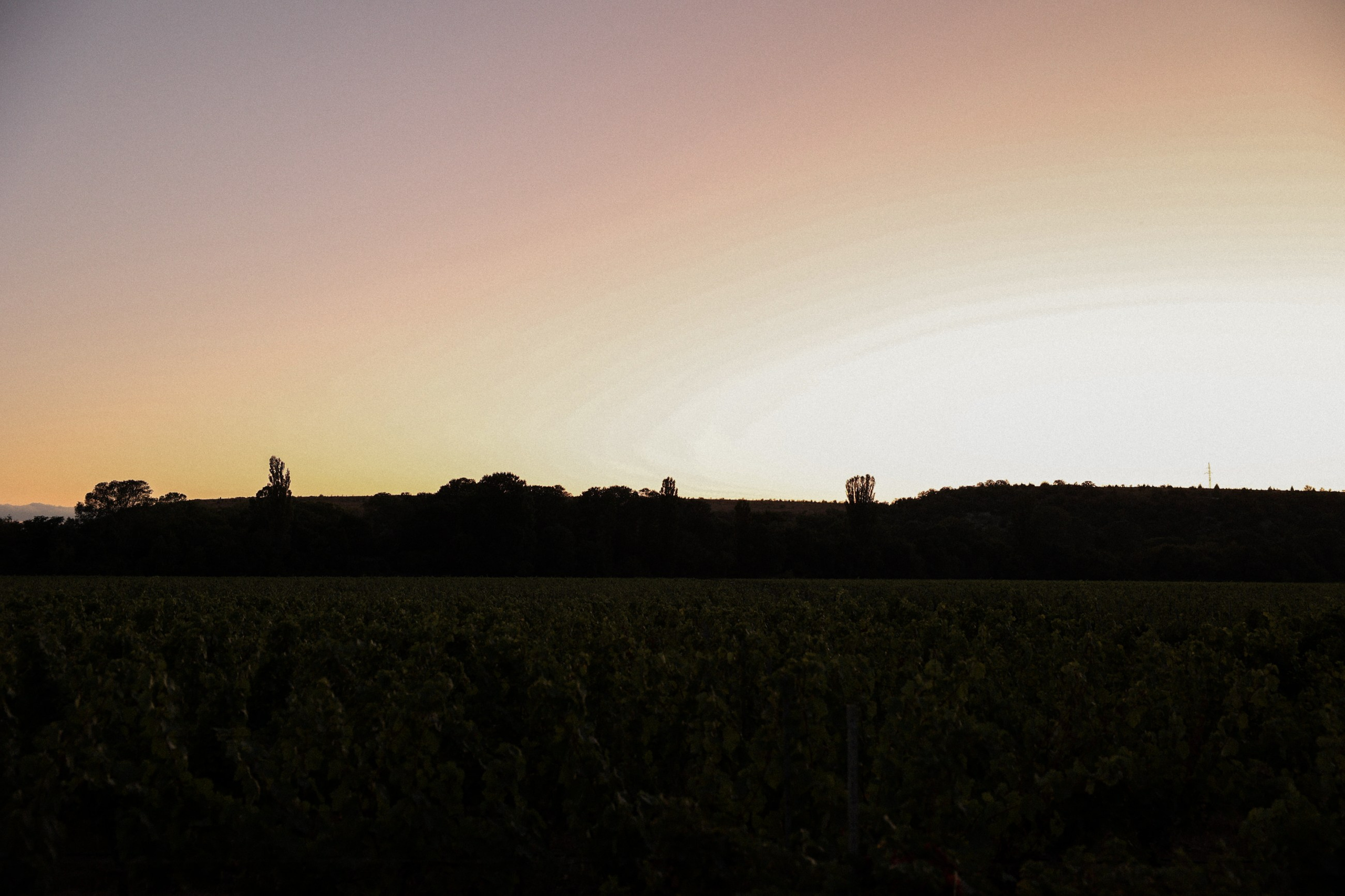 Александр и Екатерина. Фотограф в Севастополе и Крыму Артем Волобуев