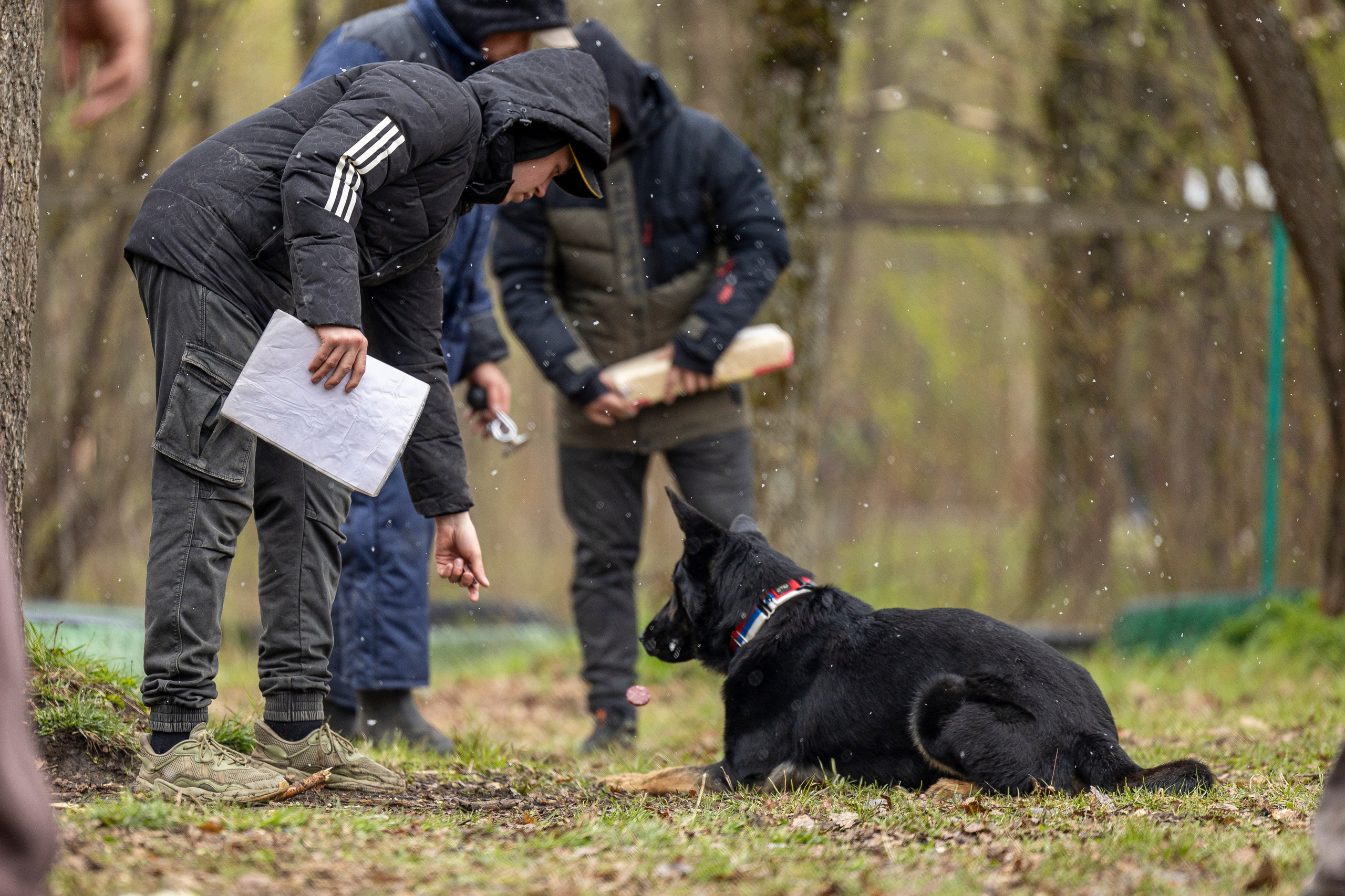 Квалификационные состязания по мондьорингу г. Вологда 11.05.24. Фотограф-анималист Анна Маринич