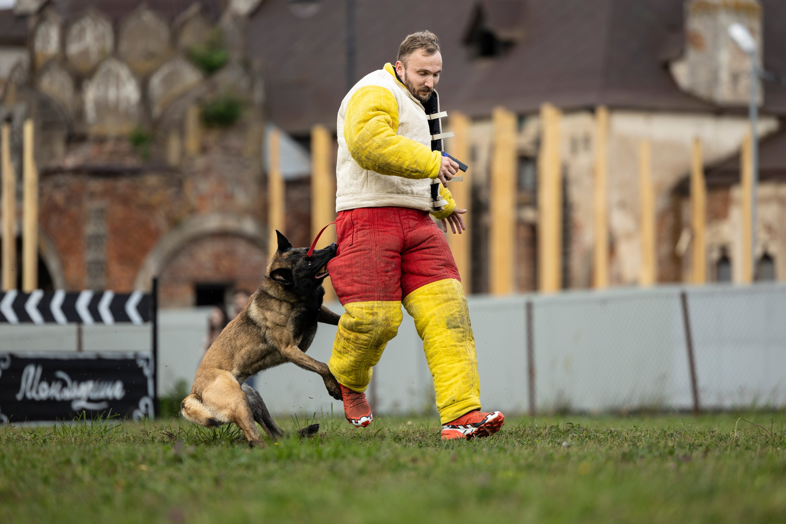 Испытания по Мондьорингу г. Пушкин. Фотограф-анималист Анна Маринич