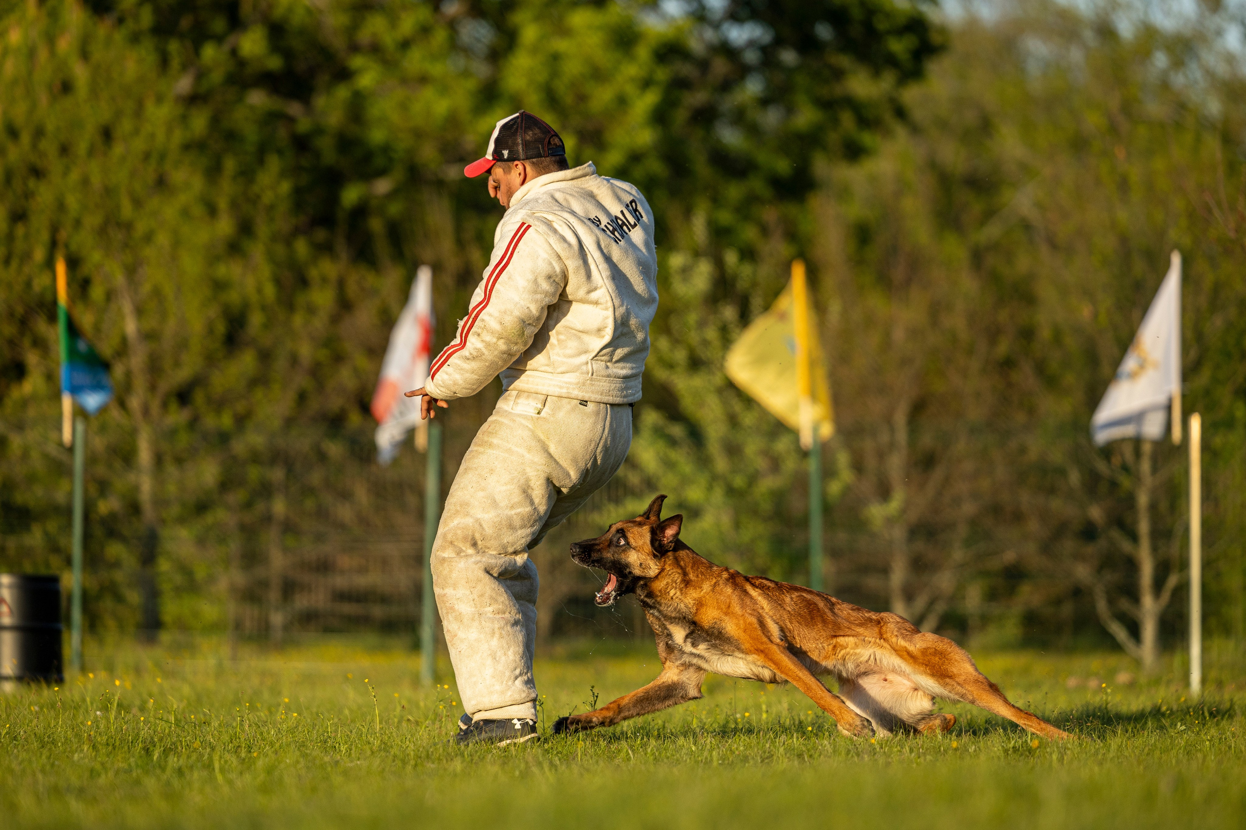 Испытания по мондьорингу в Нижнем Новгороде. Фотограф-анималист Анна Маринич
