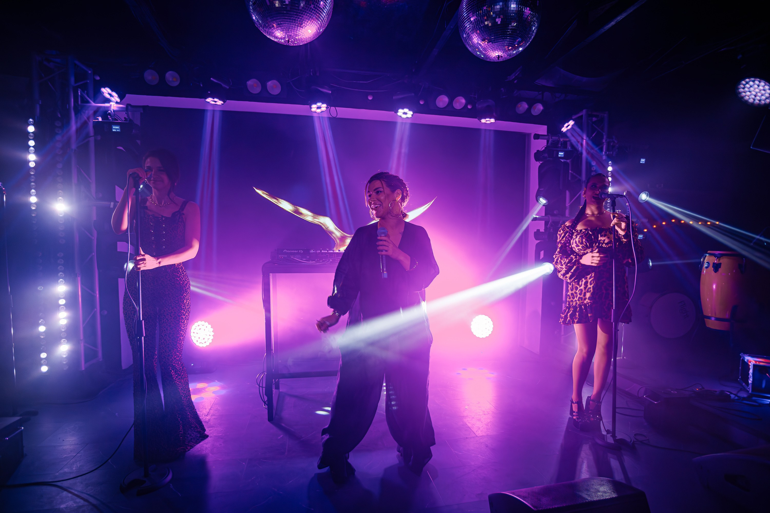 «LIZWI"_Чайка на пляже_Ялта_7.06.2025. Аминов Руслан | Фотограф