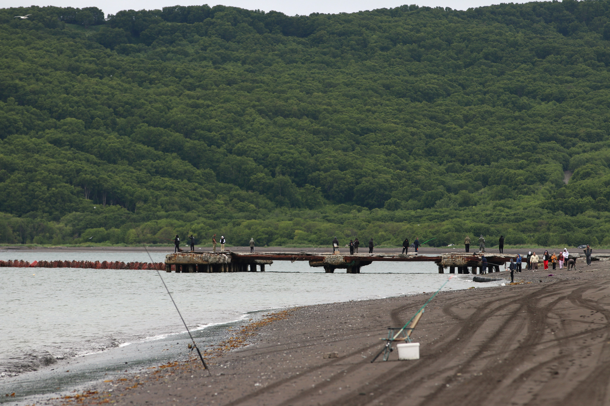 Камчатка и о. Парамушир. Июль 2024. Путешественник-фотограф из Санкт-Петербурга Татьяна Свистулина