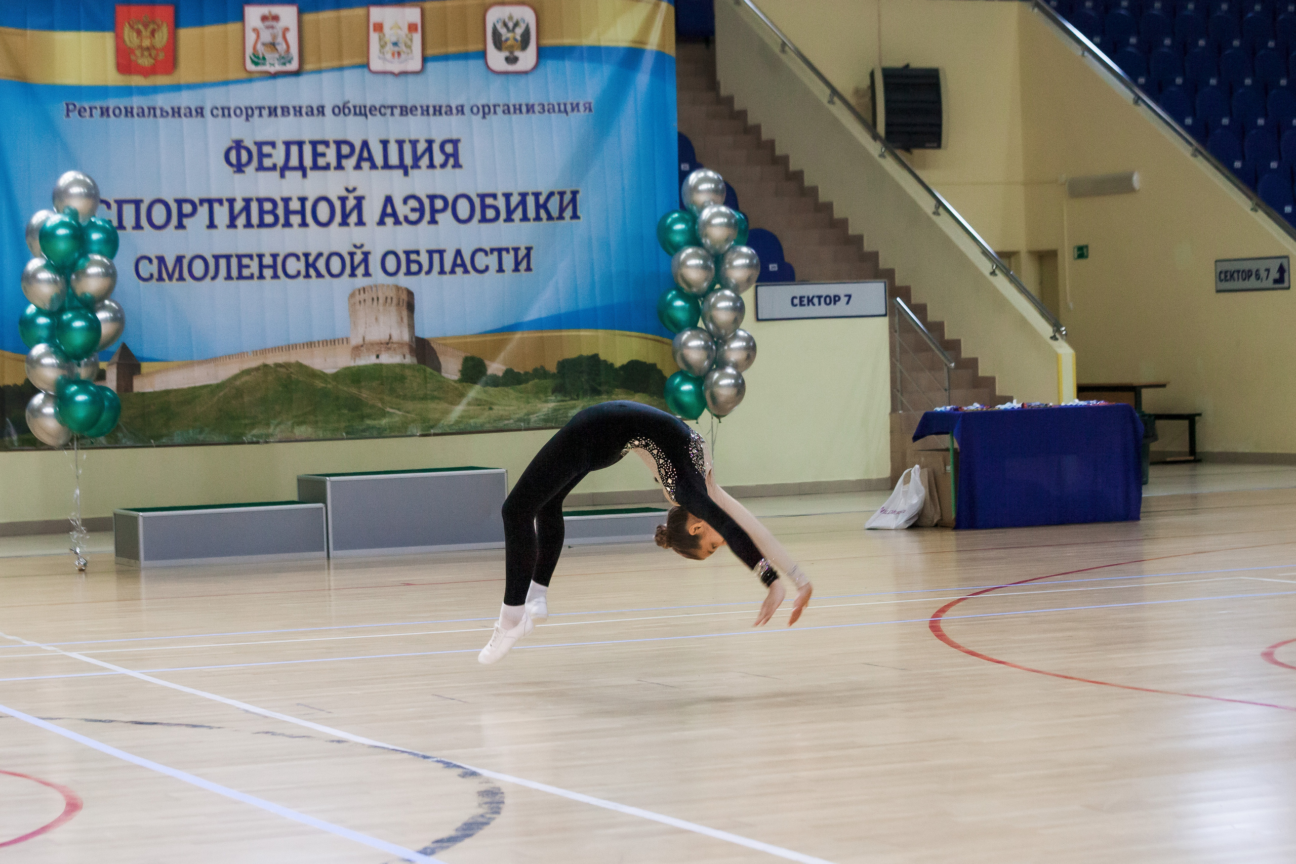 Открытый Кубок Смоленской области по спортивной аэробике 26.02.2022. Спортивный фотограф Александр Васильев. RG и AGG