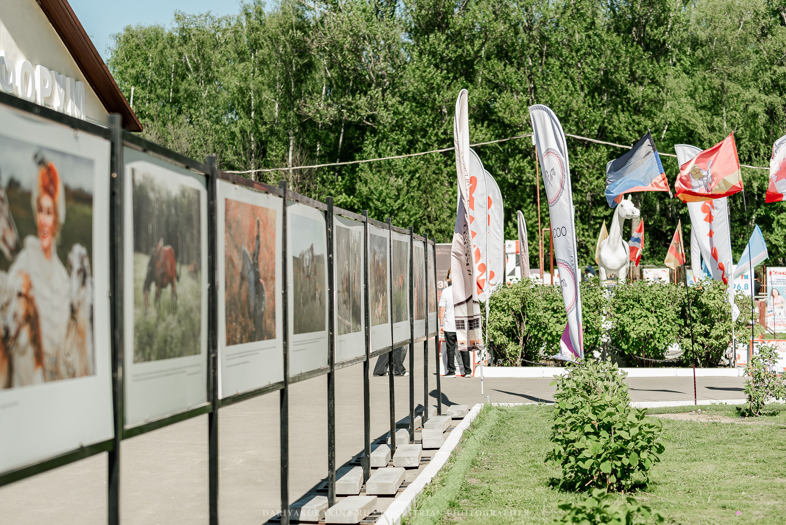 #ПОНИФОРУМ 2024. Конный фотограф Куракина Дарья • Фотосессии с лошадьми